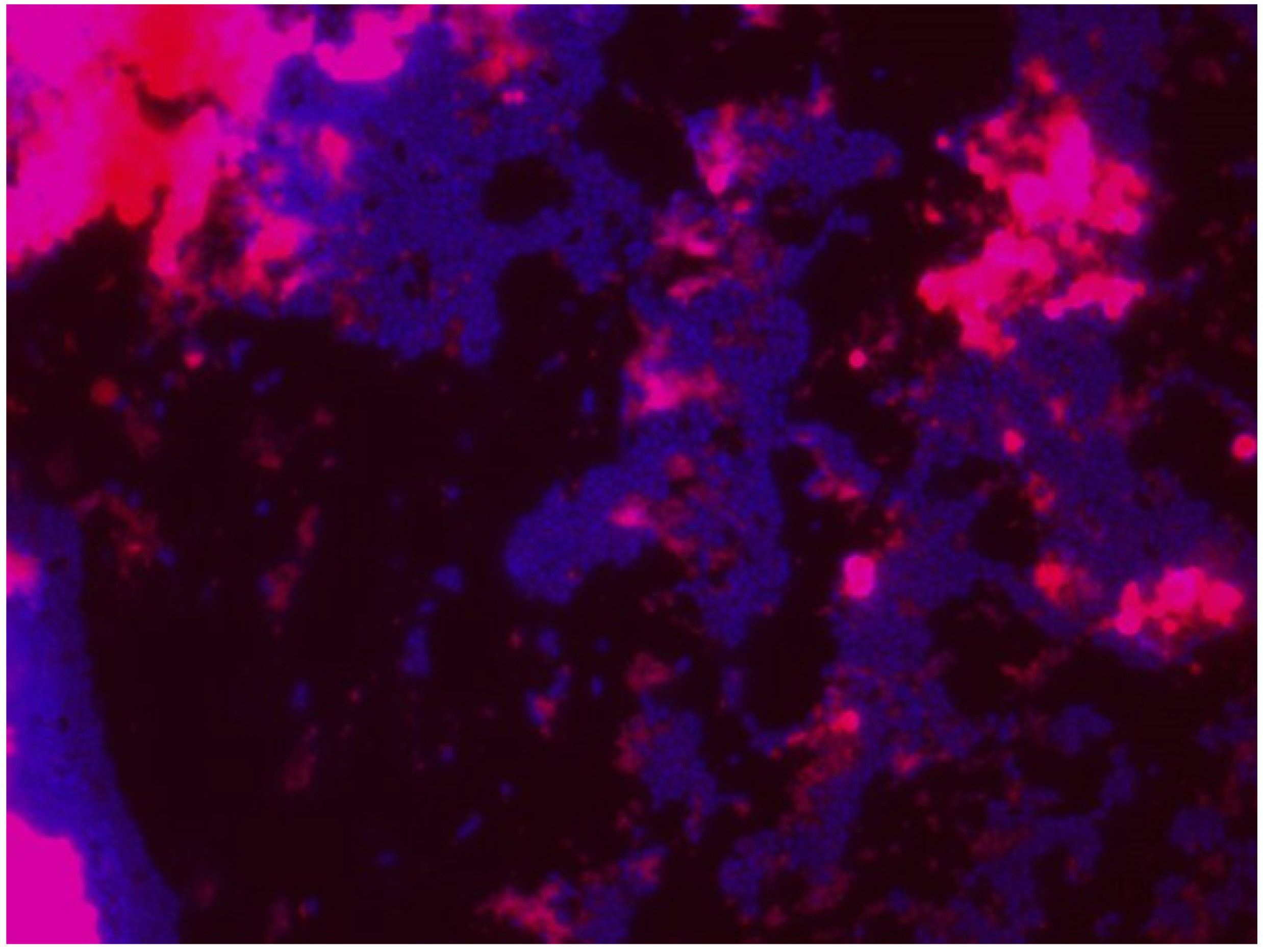 Ijerph 18 02014 g008