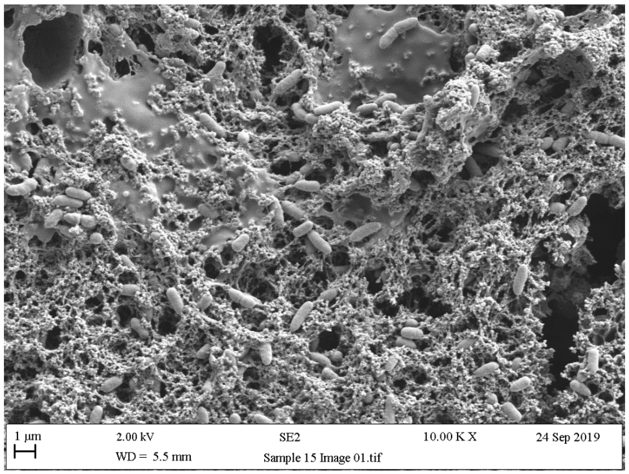 Ijerph 18 02014 g009