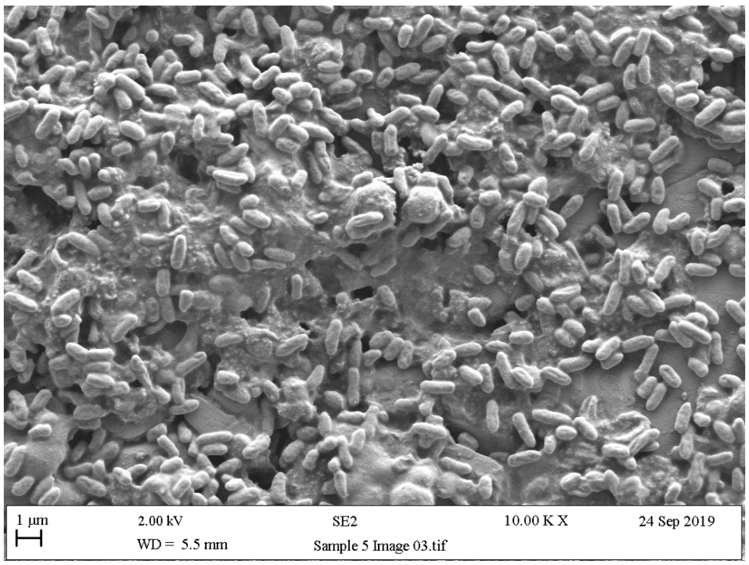 Ijerph 18 02014 g010