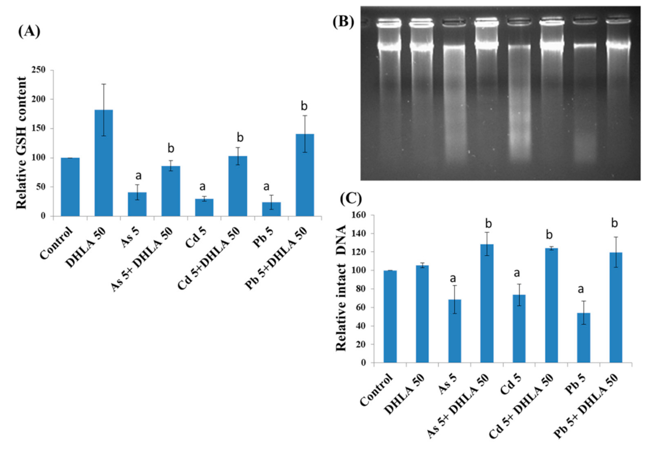 Ijerph 18 02126 g008 Ijerph 18 02126 g008