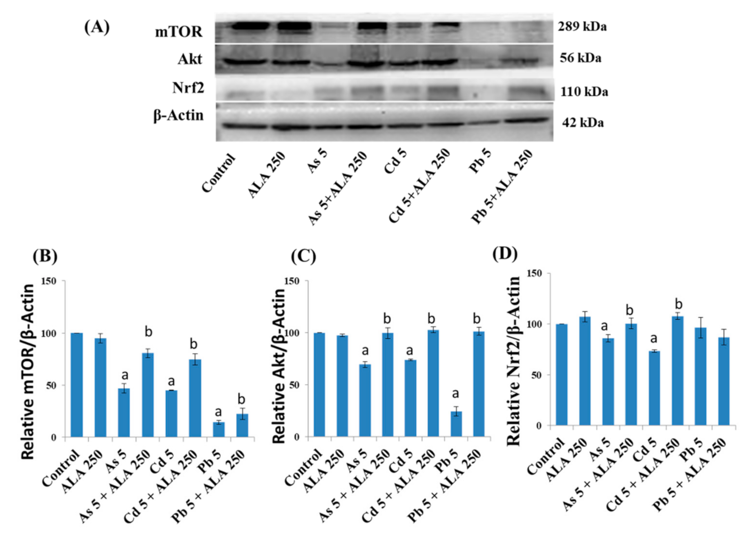 Ijerph 18 02126 g009 Ijerph 18 02126 g009