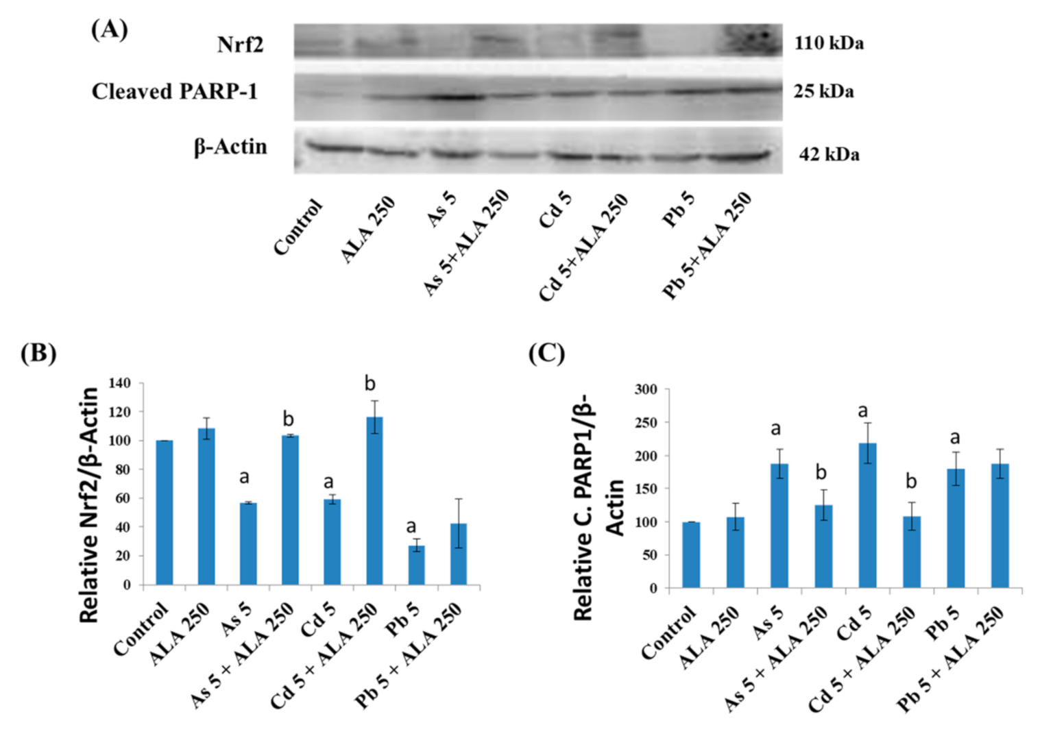 Ijerph 18 02126 g010 Ijerph 18 02126 g010