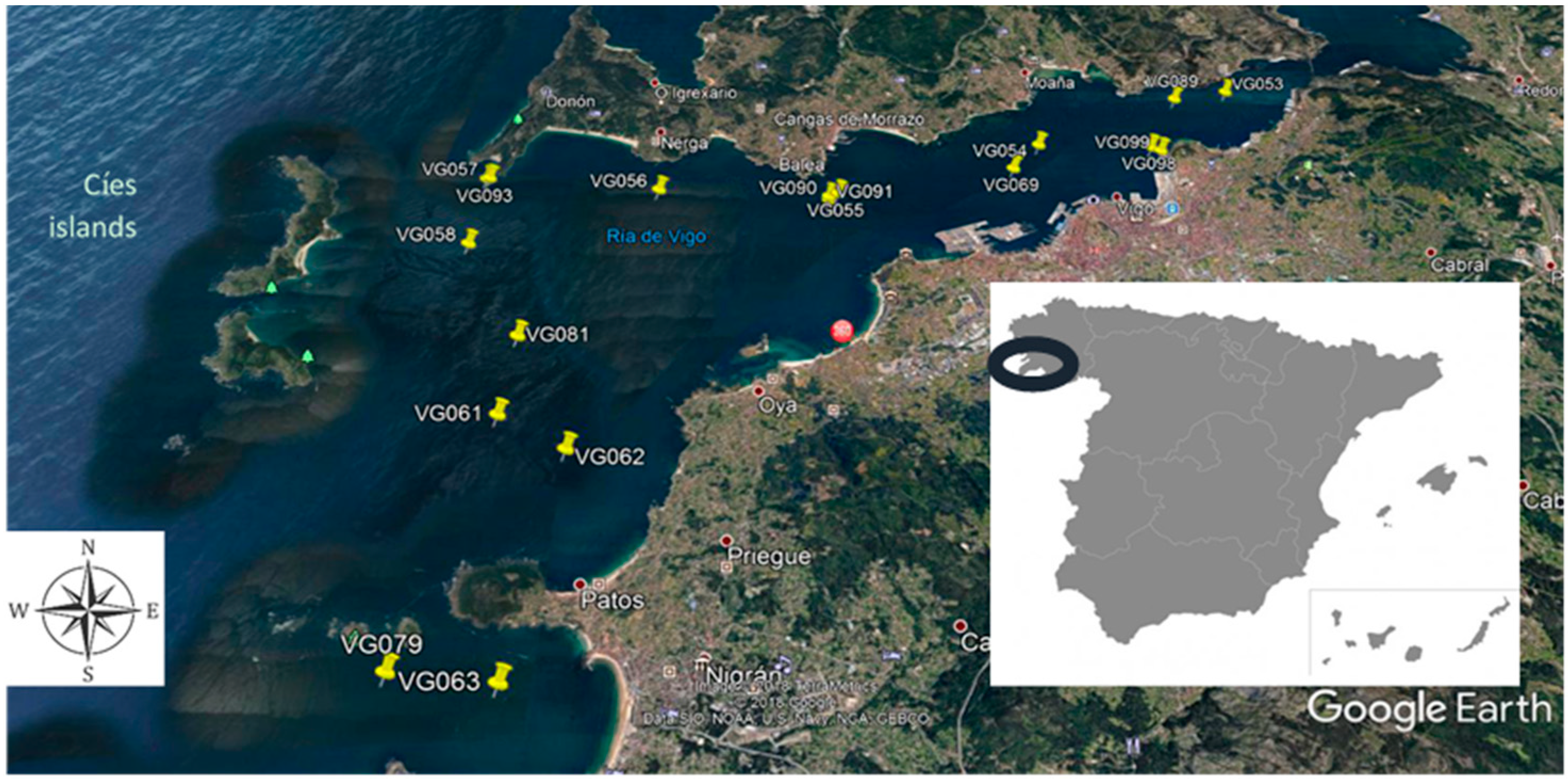 Ijerph 18 02136 g001