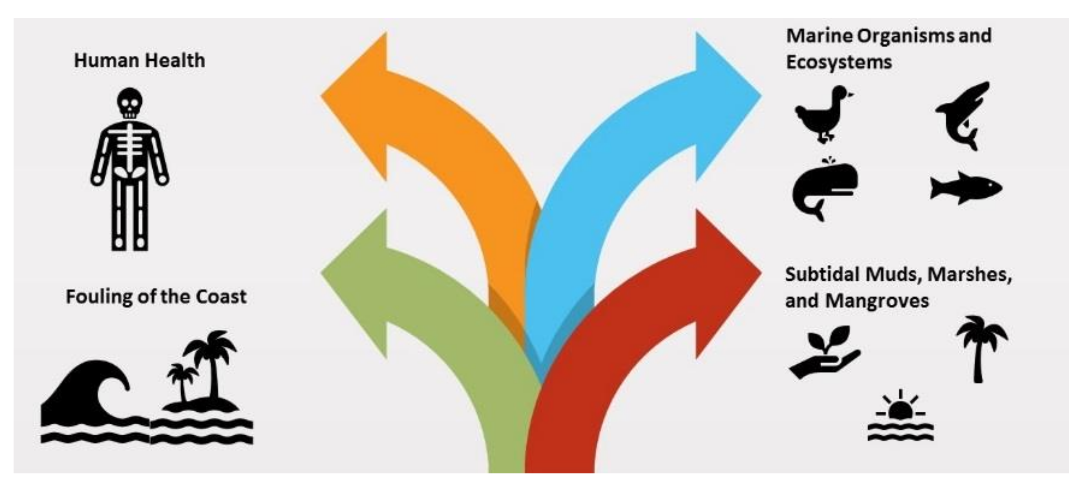 Ijerph 18 02226 g003