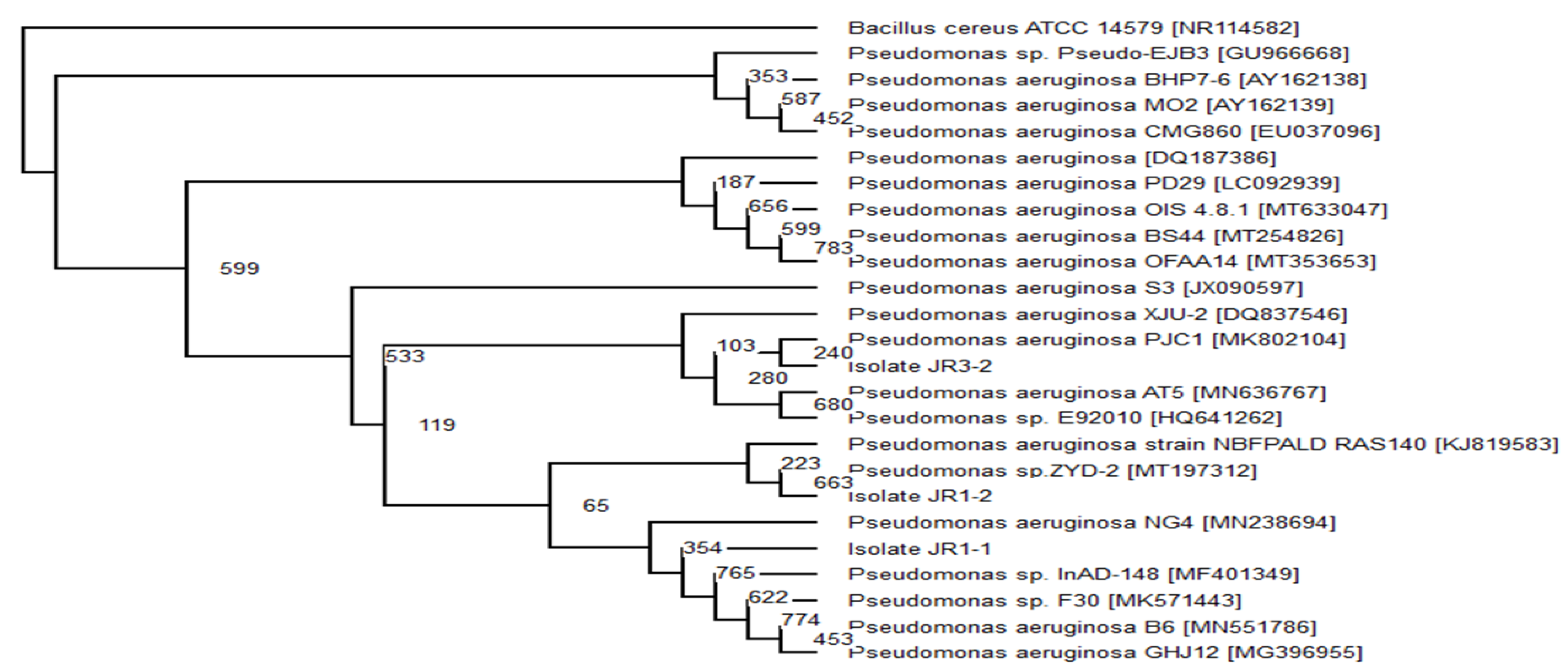Ijerph 18 02424 g003