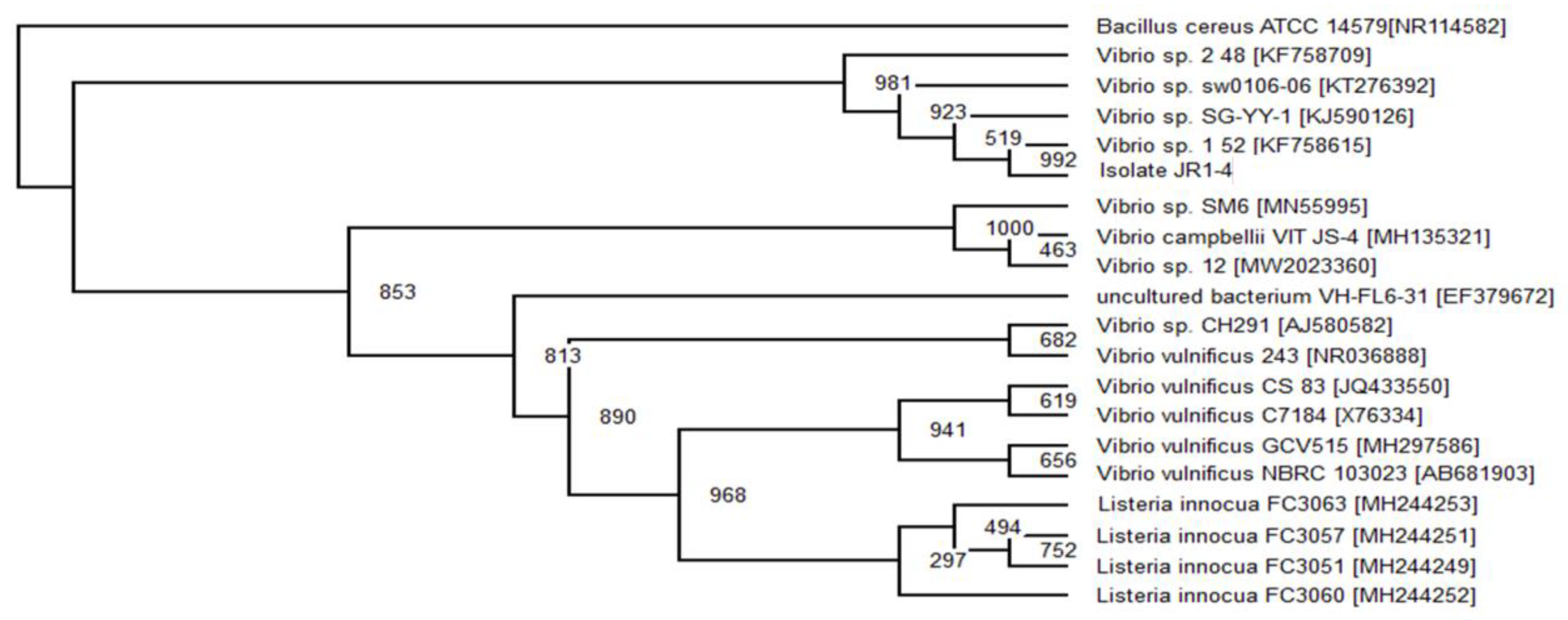 Ijerph 18 02424 g005