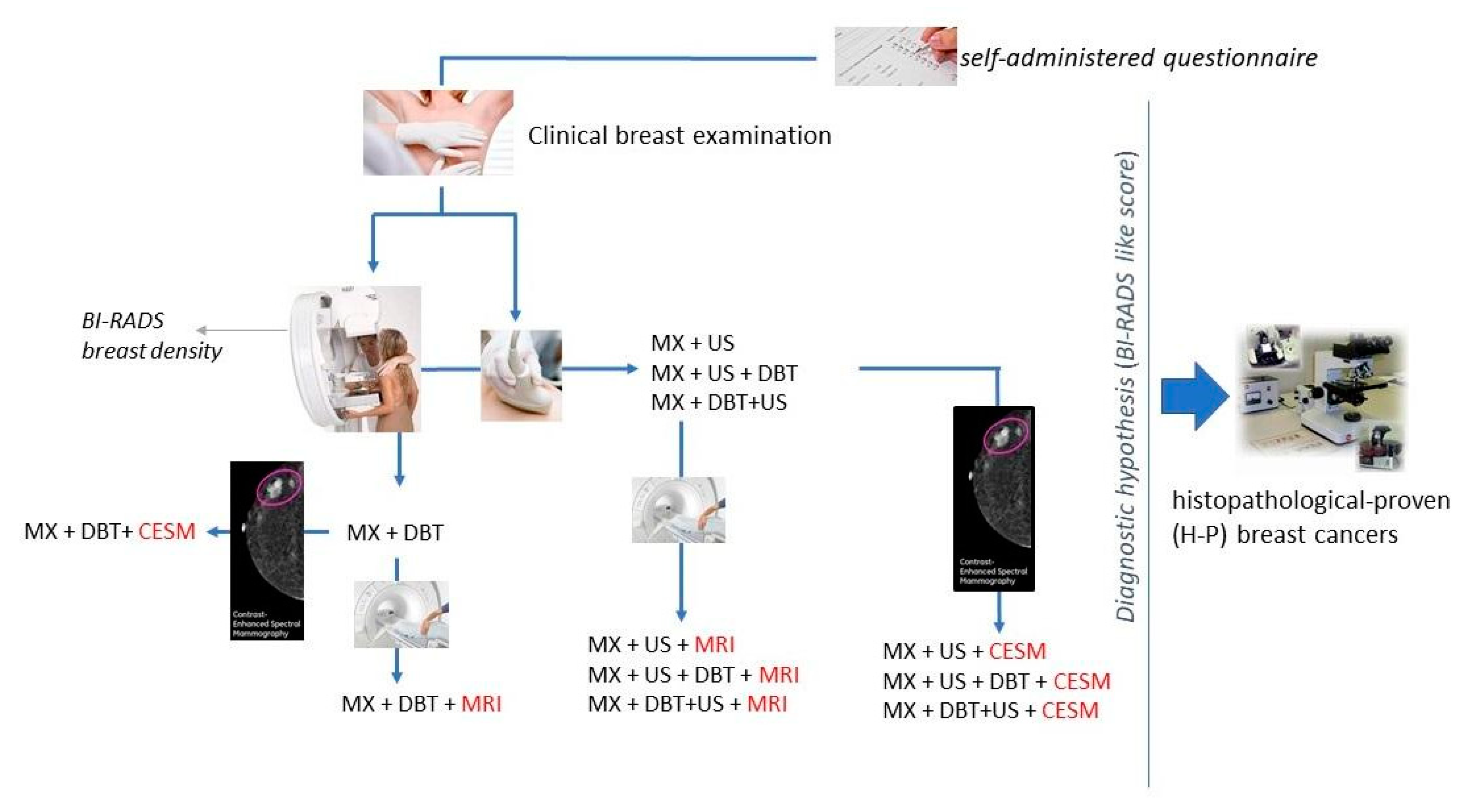 Ijerph 18 02456 g002