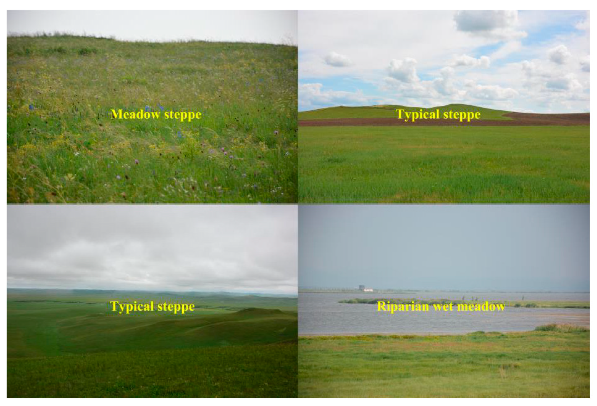 Ijerph 18 02528 g0a1