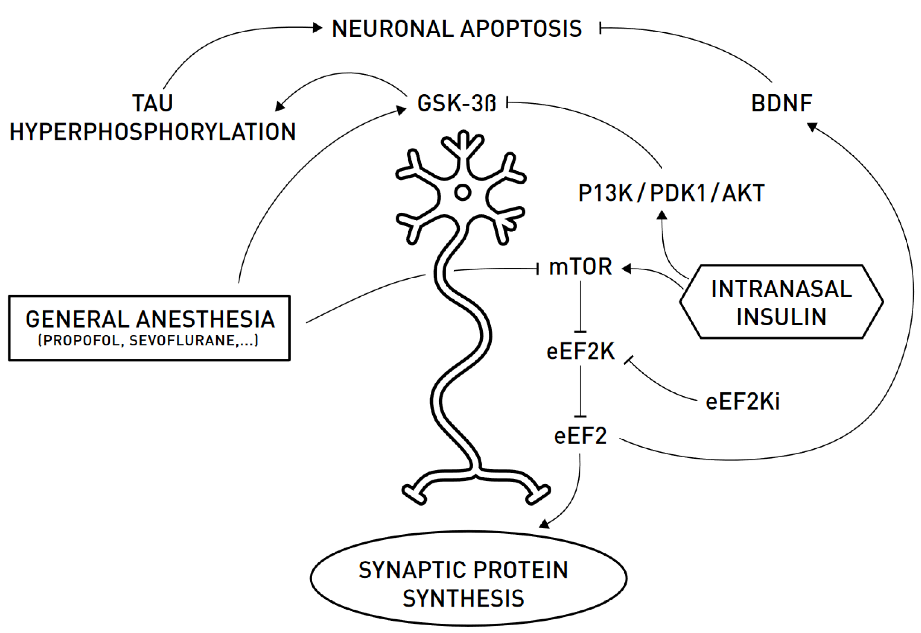 Ijerph 18 02681 g001