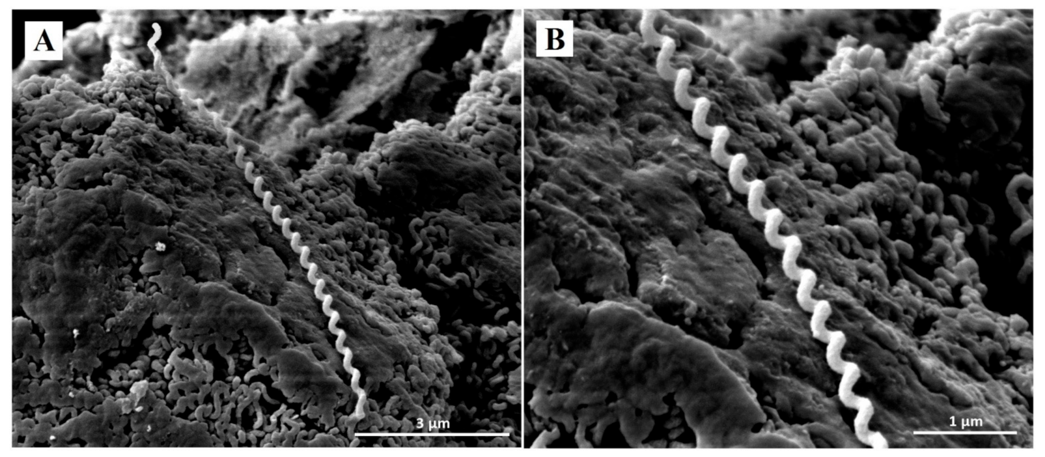 Ijerph 18 02834 g002