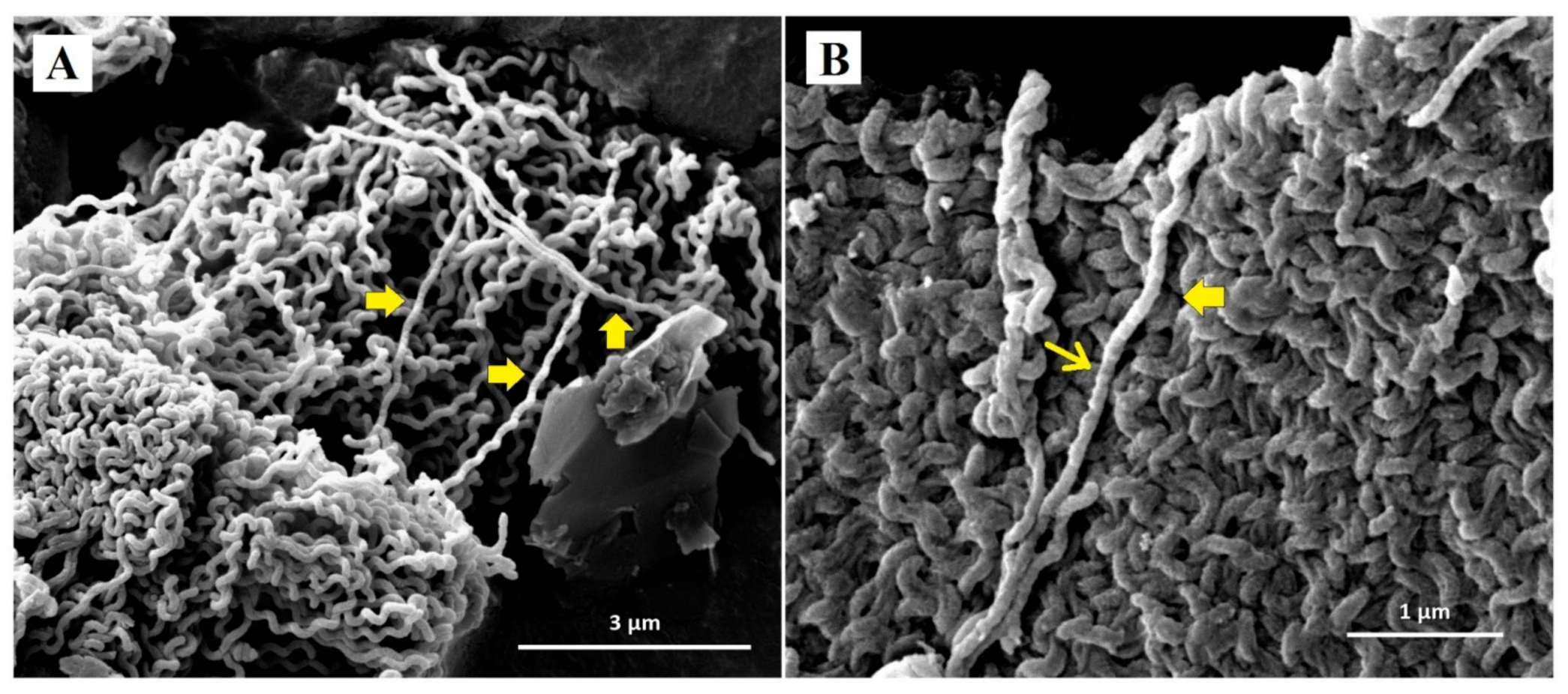 Ijerph 18 02834 g004