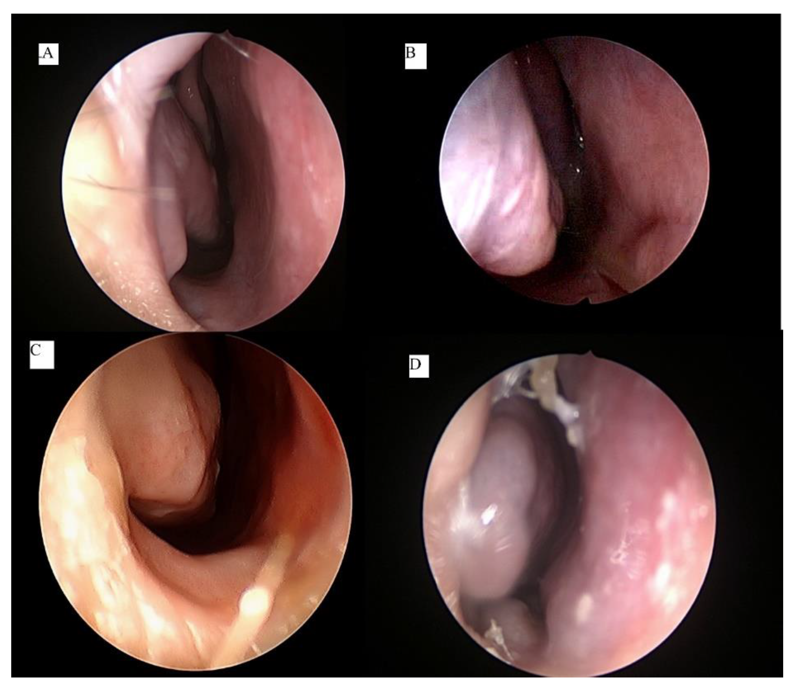 Ijerph 18 03441 g001 Ijerph 18 03441 g001