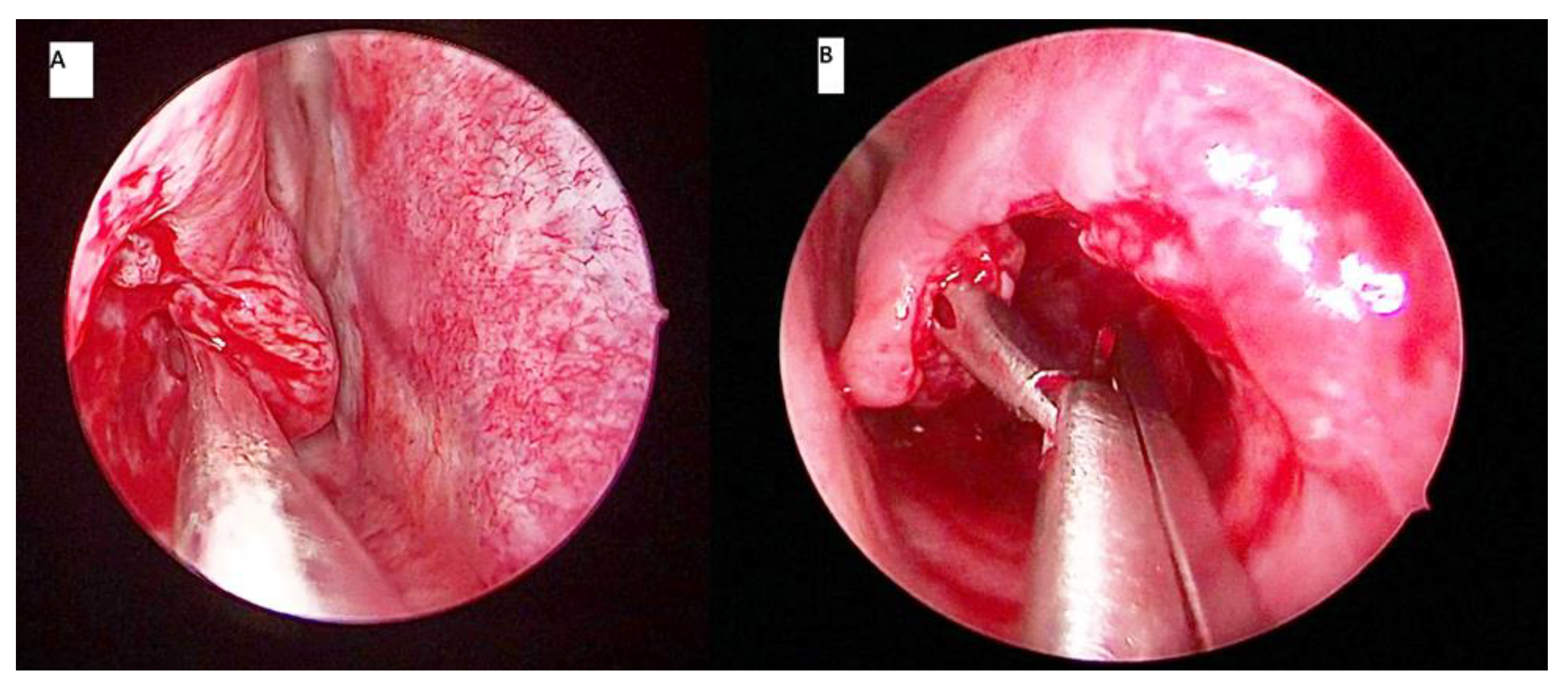 Ijerph 18 03441 g002 Ijerph 18 03441 g002
