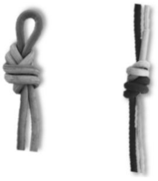 Ijerph 18 03536 i001