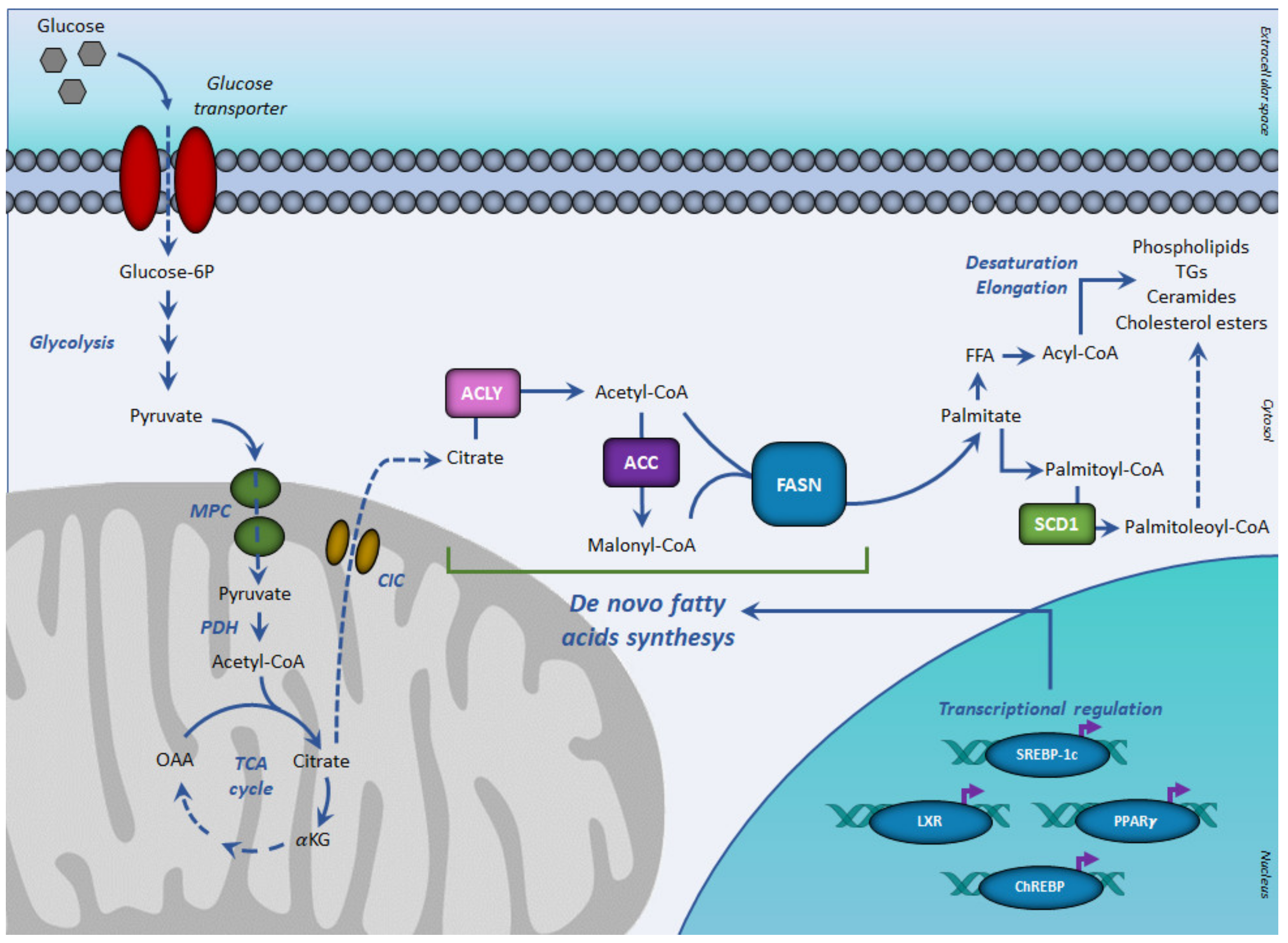 Ijerph 18 03575 g001