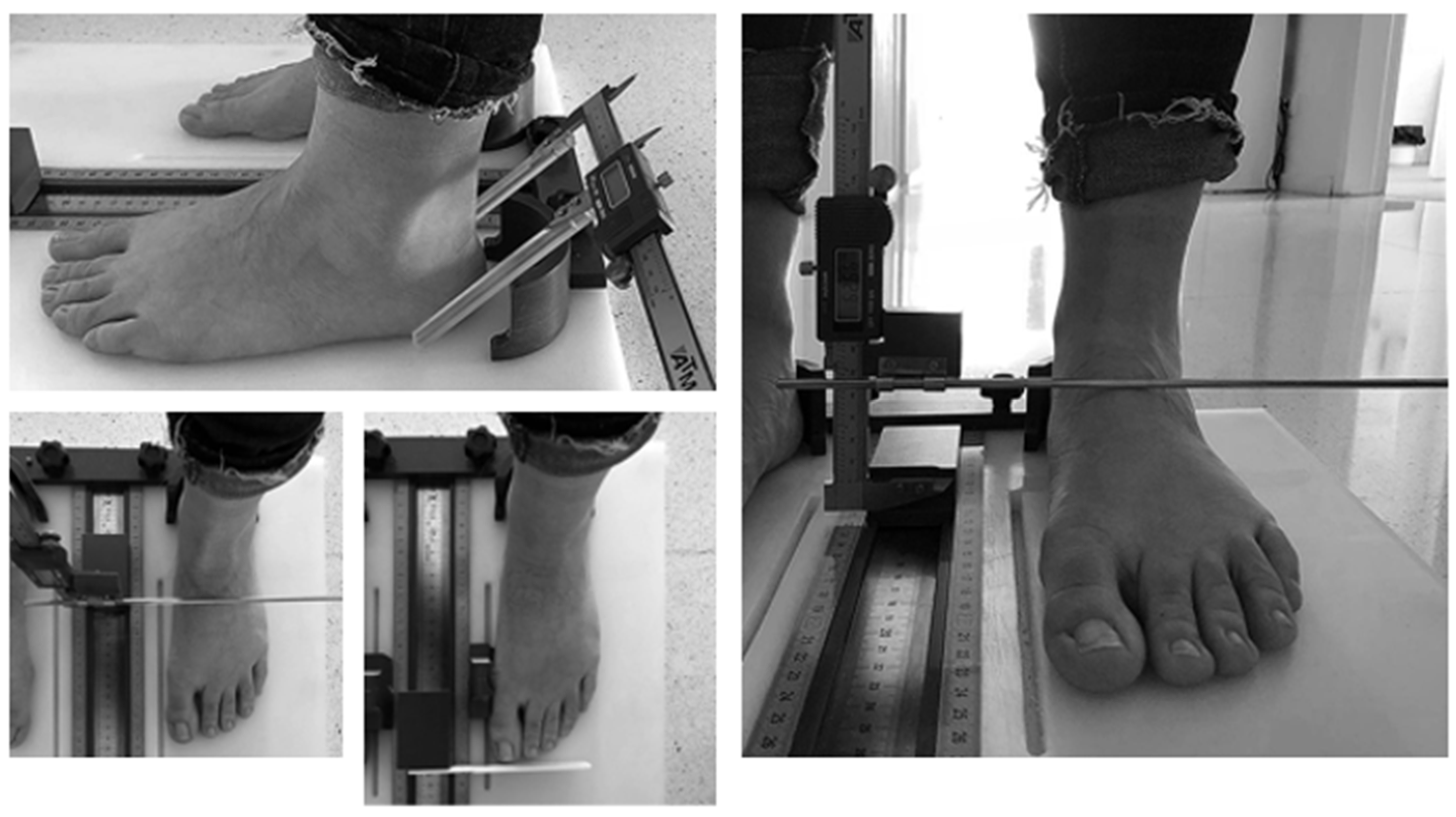 Ijerph 18 03619 g001 Ijerph 18 03619 g001