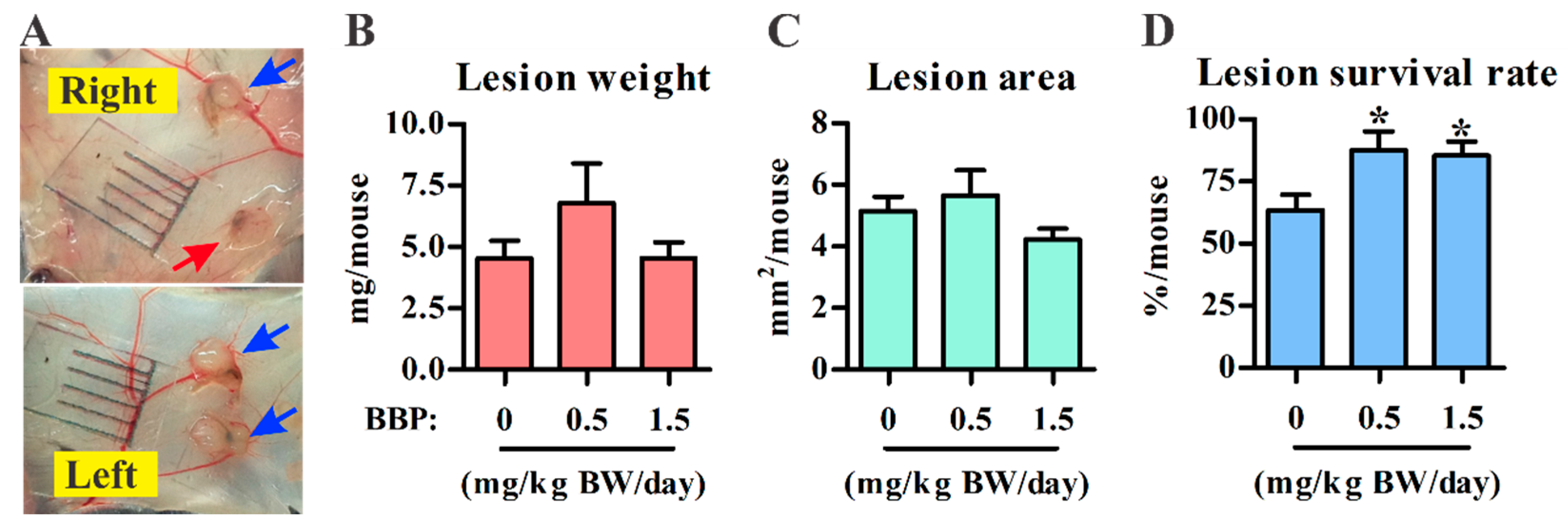 Ijerph 18 03640 g001 Ijerph 18 03640 g001