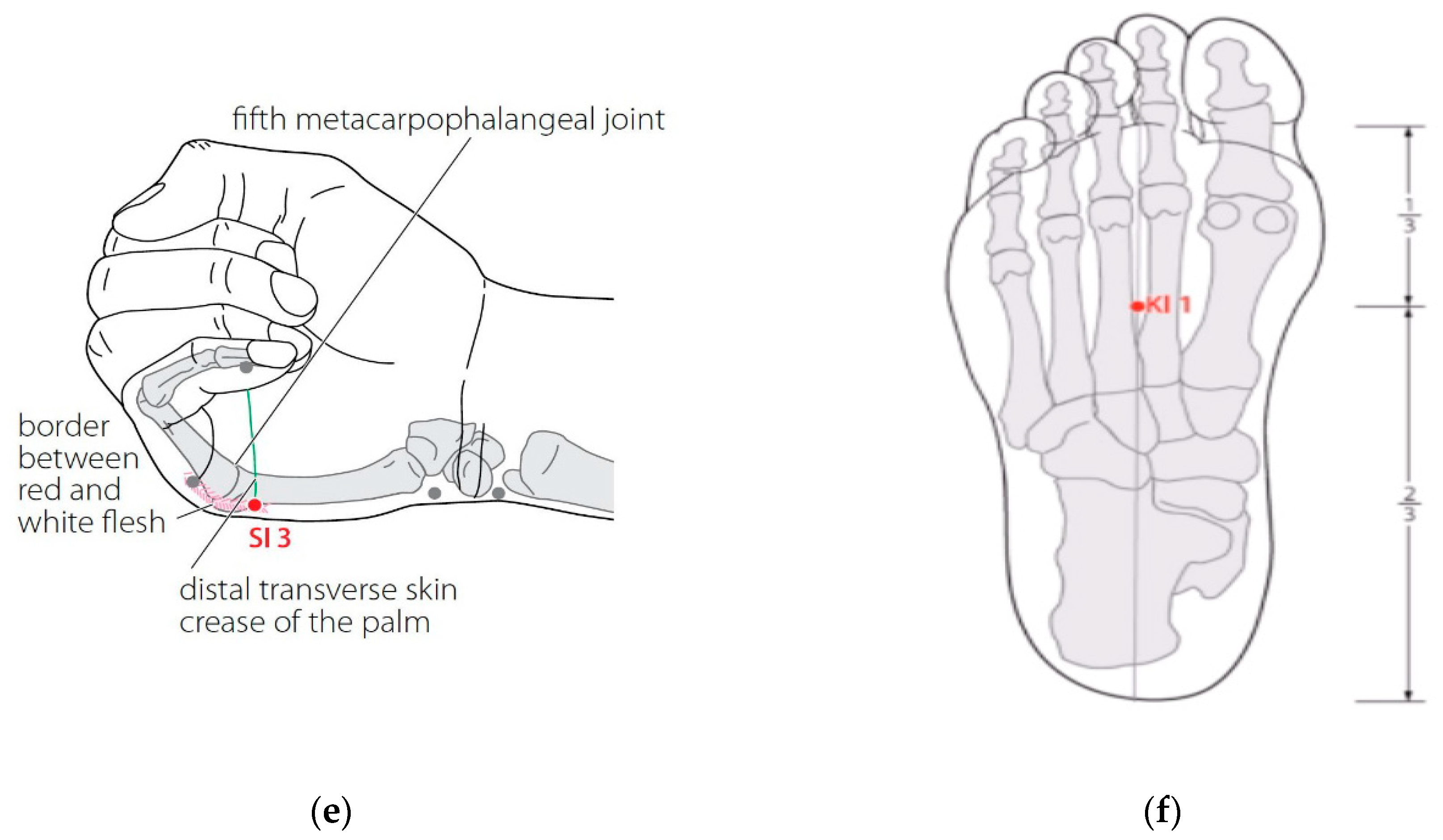 Ijerph 18 04199 g002b Ijerph 18 04199 g002b