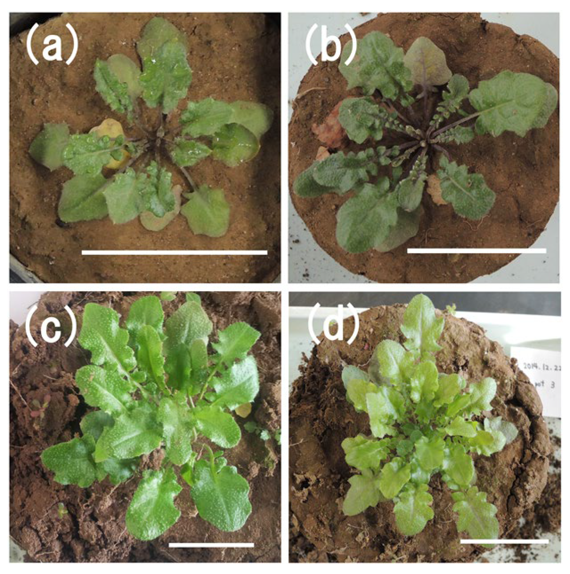 Ijerph 18 04214 g002