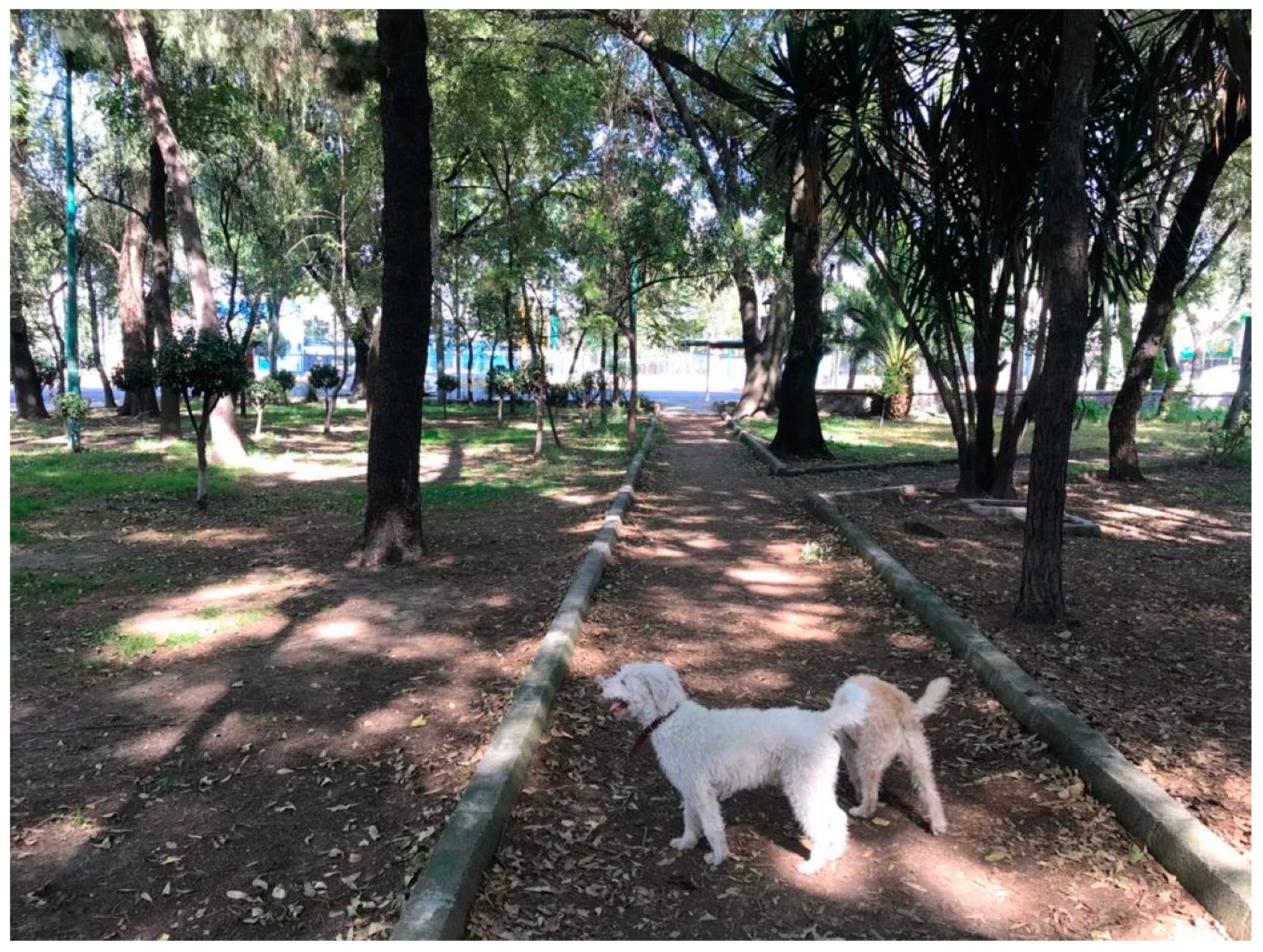 Ijerph 18 04304 g002