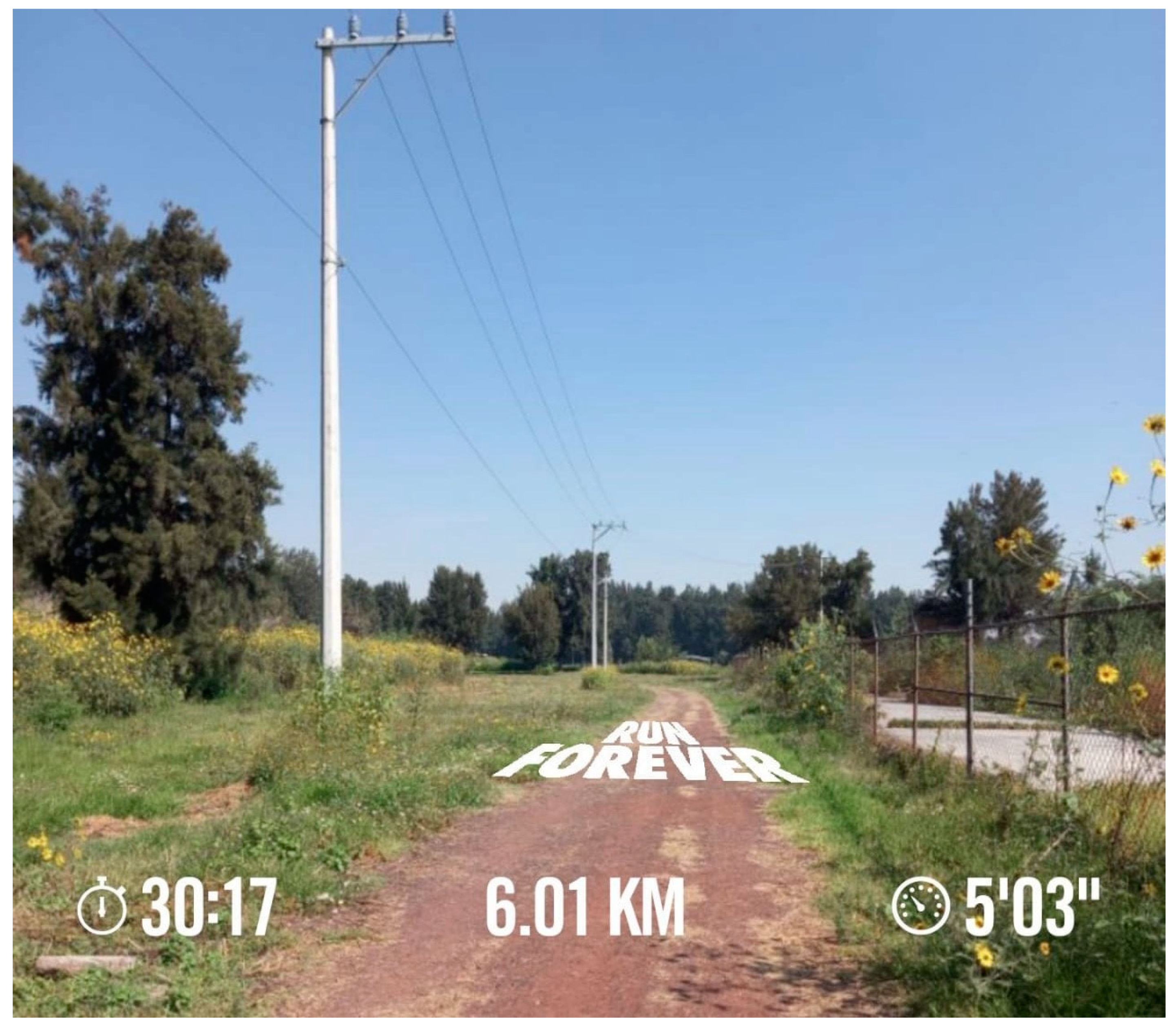 Ijerph 18 04304 g005