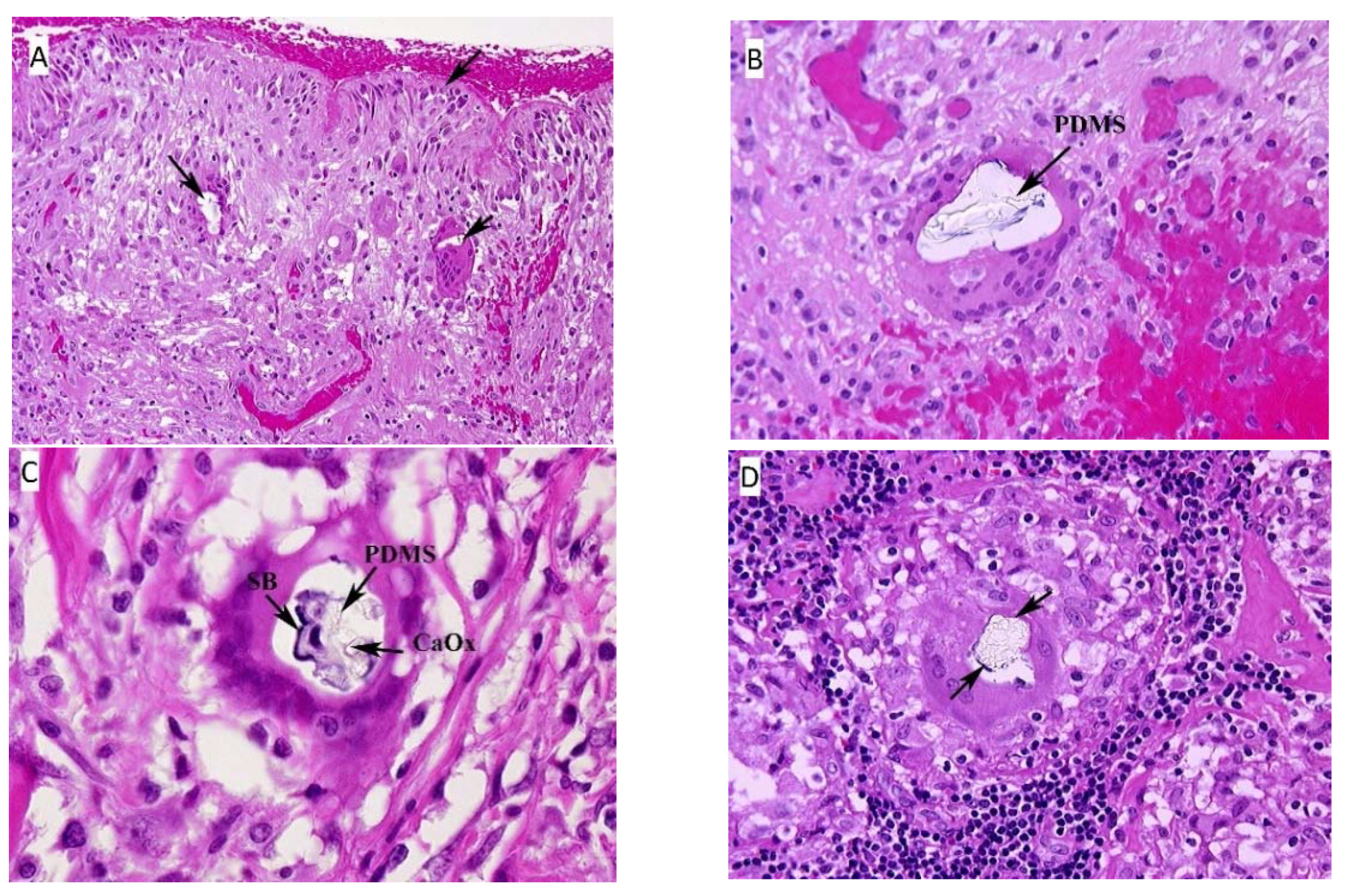 Ijerph 18 04526 g001 Ijerph 18 04526 g001