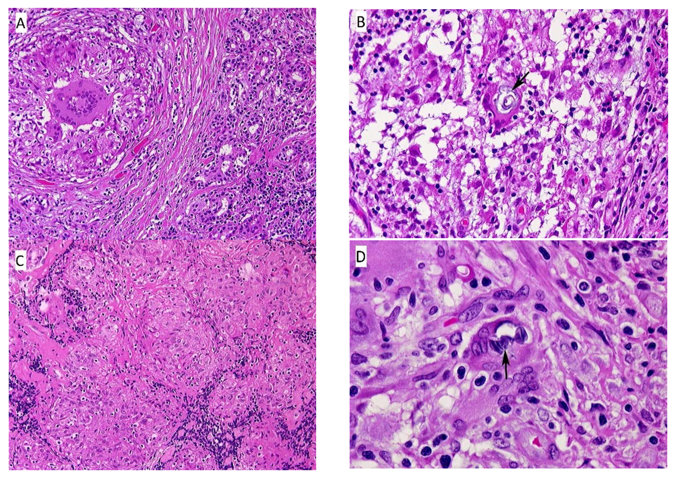 Ijerph 18 04526 g002 Ijerph 18 04526 g002