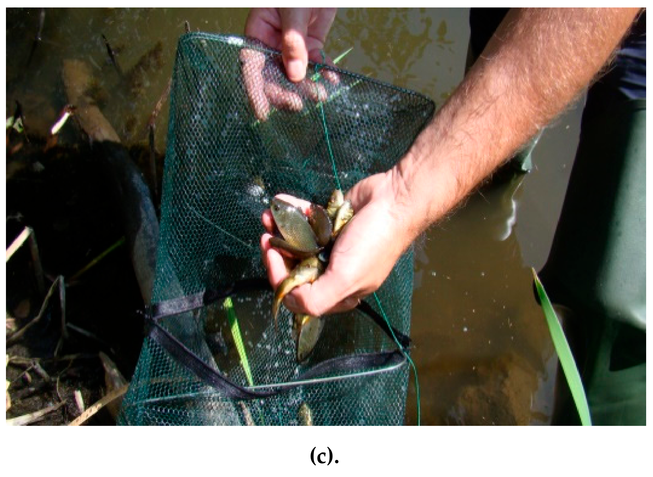 Ijerph 18 04565 g002b Ijerph 18 04565 g002b