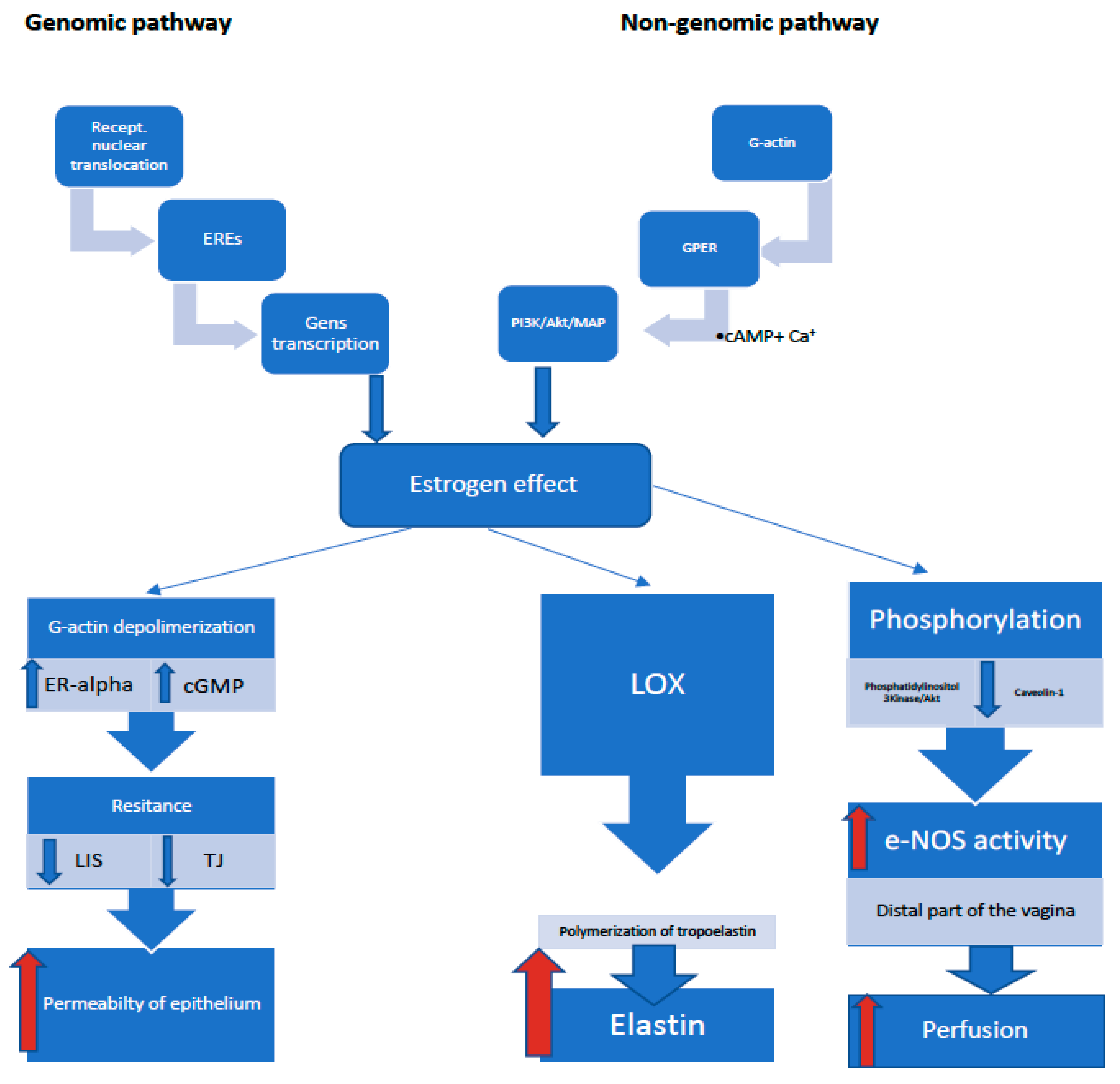 Ijerph 18 04935 g002