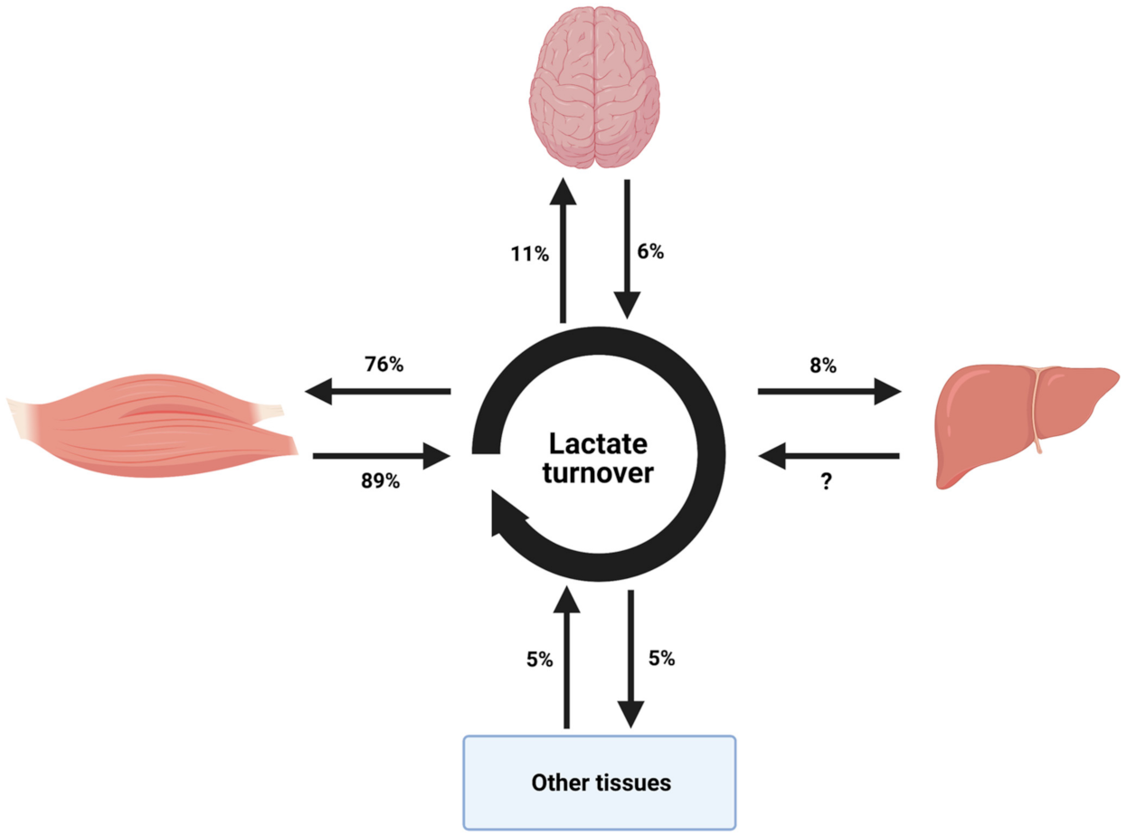 Ijerph 18 04963 g002