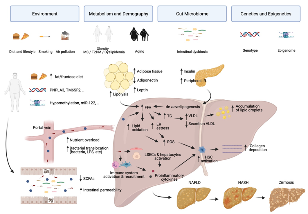 Ijerph 18 05227 g001 Ijerph 18 05227 g001