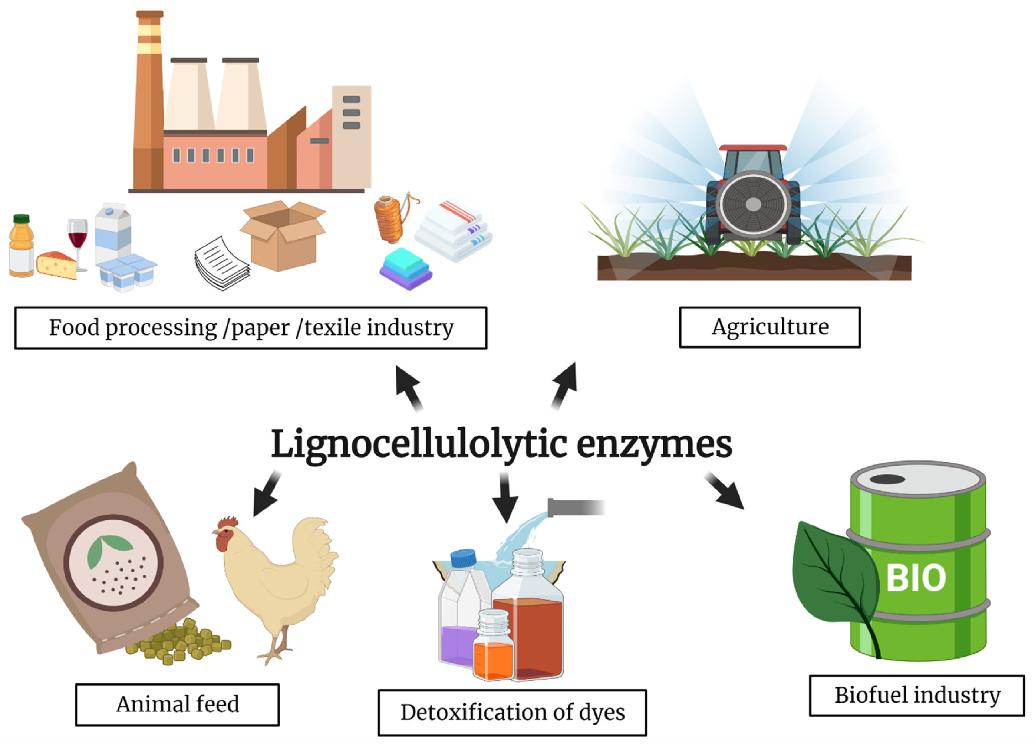 Ijerph 18 05228 g004
