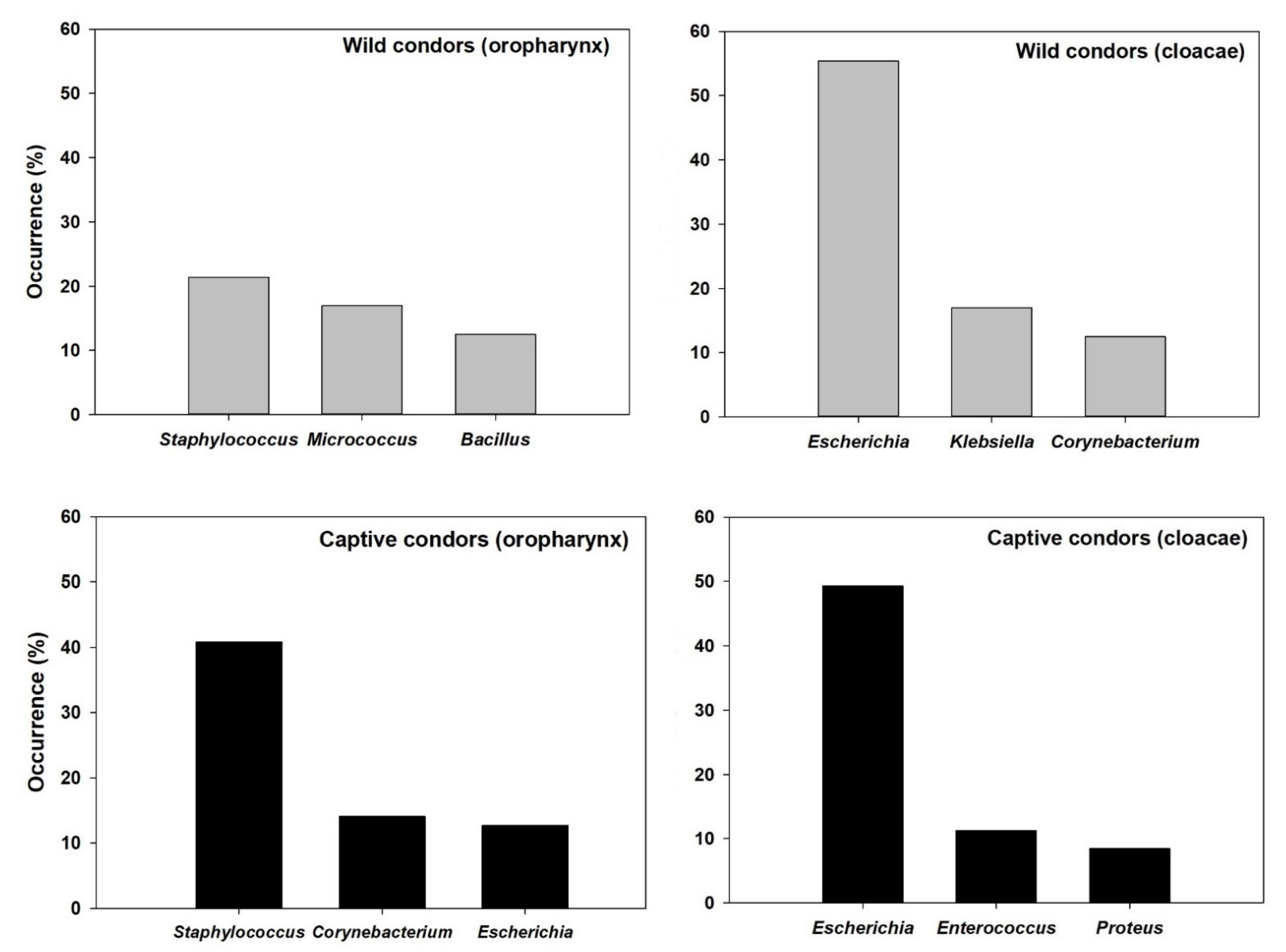 Ijerph 18 05231 g001