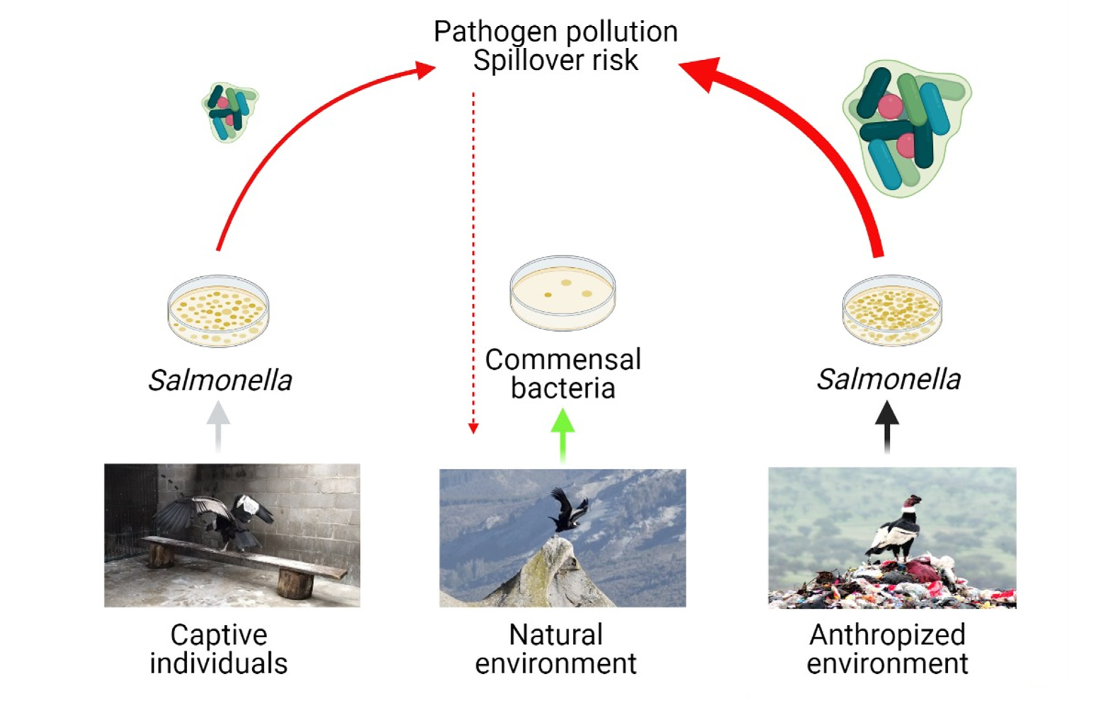 Ijerph 18 05231 g003