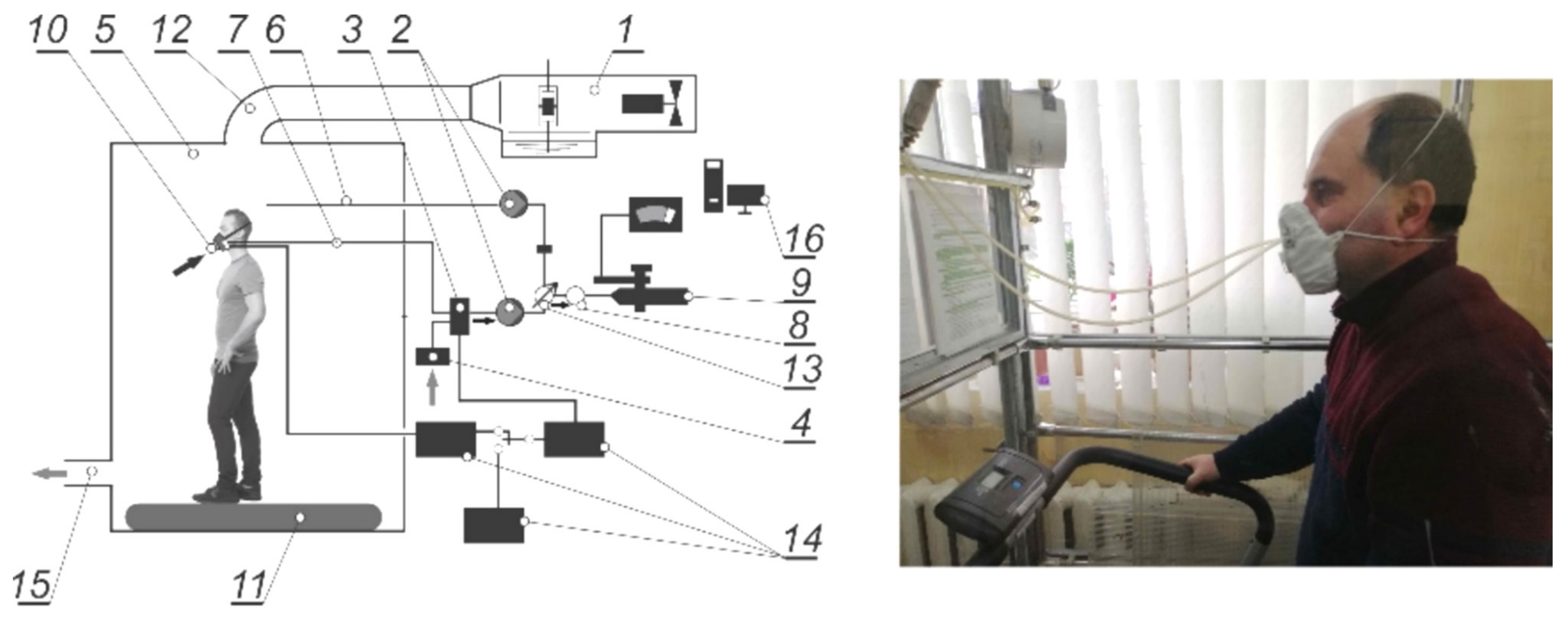 Ijerph 18 05482 g007