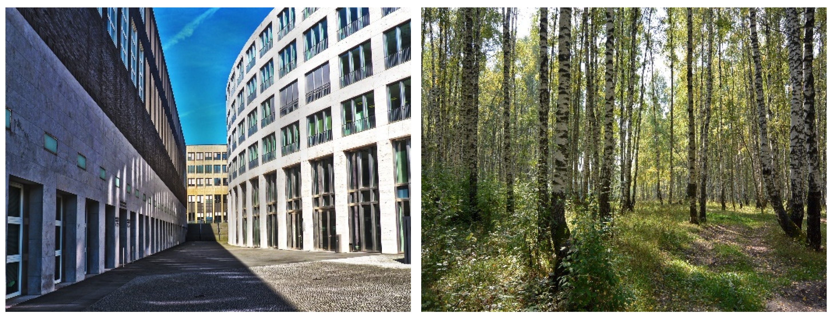 Ijerph 18 05500 g002