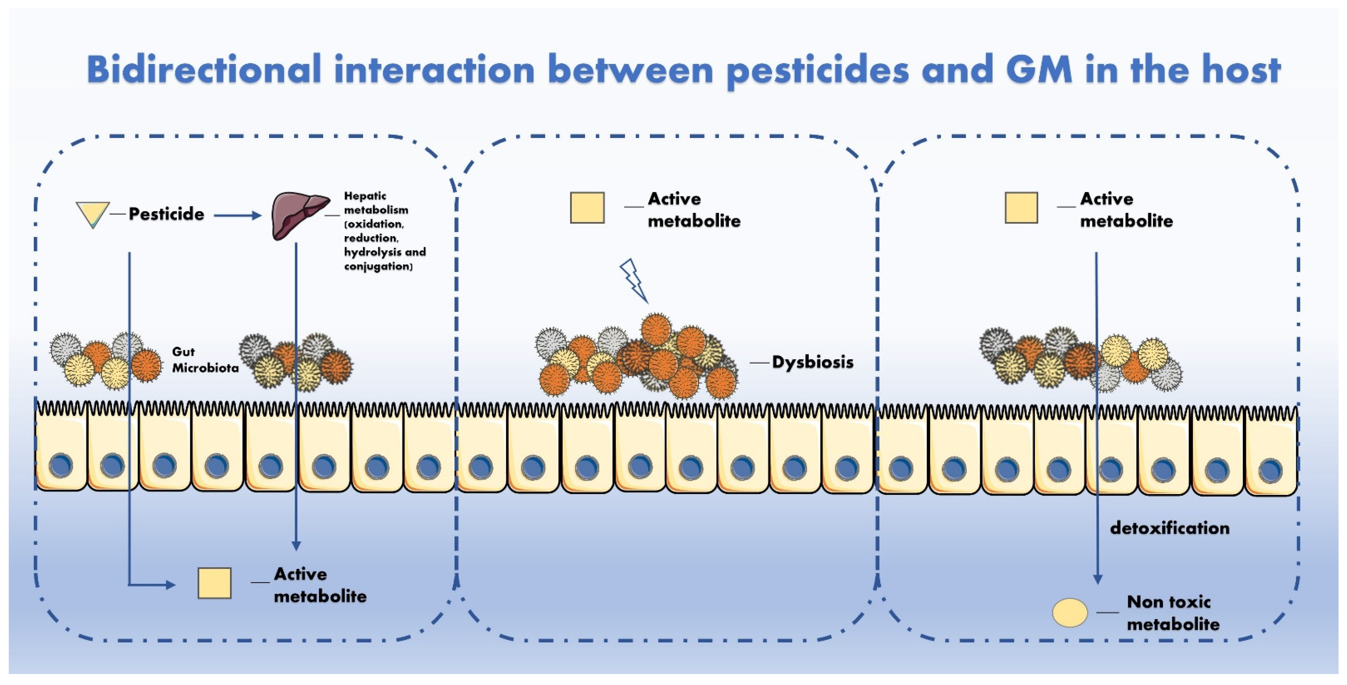 Ijerph 18 05510 g001