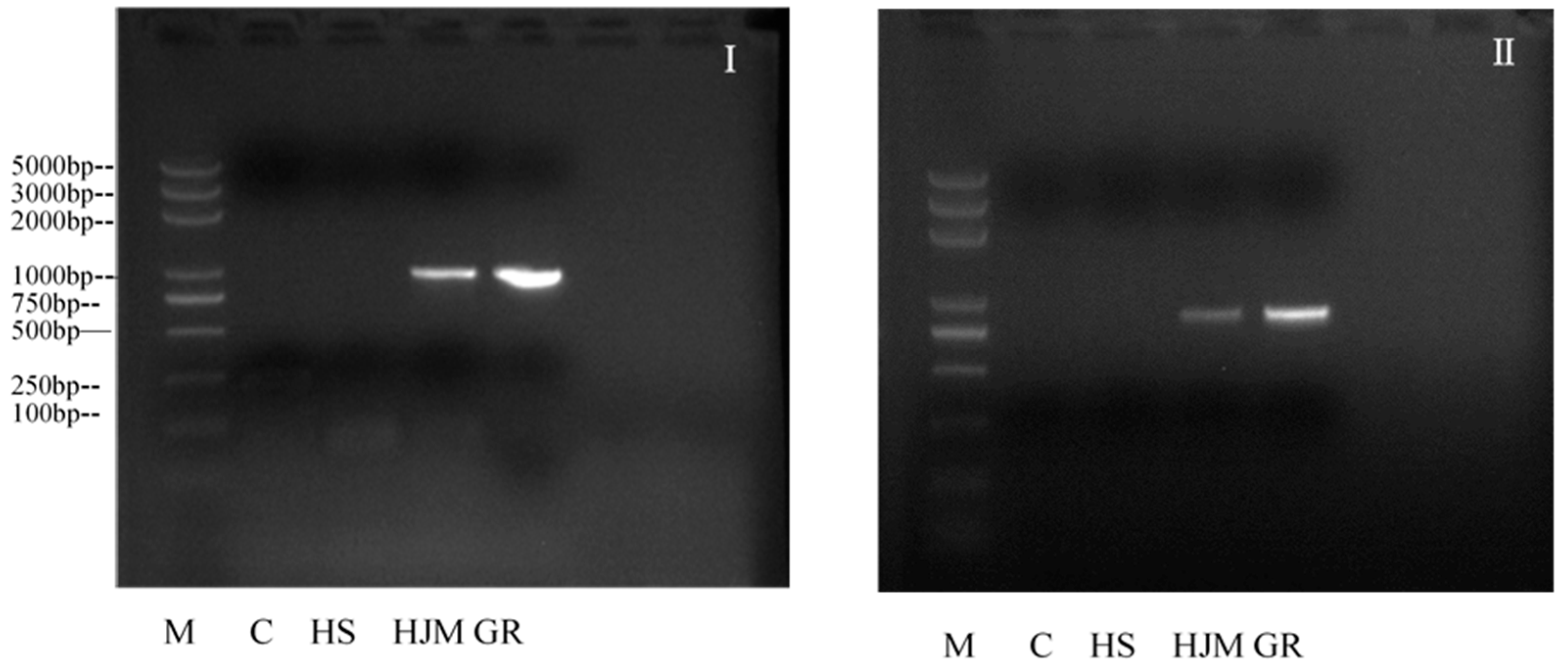 Ijerph 18 05526 g001 Ijerph 18 05526 g001