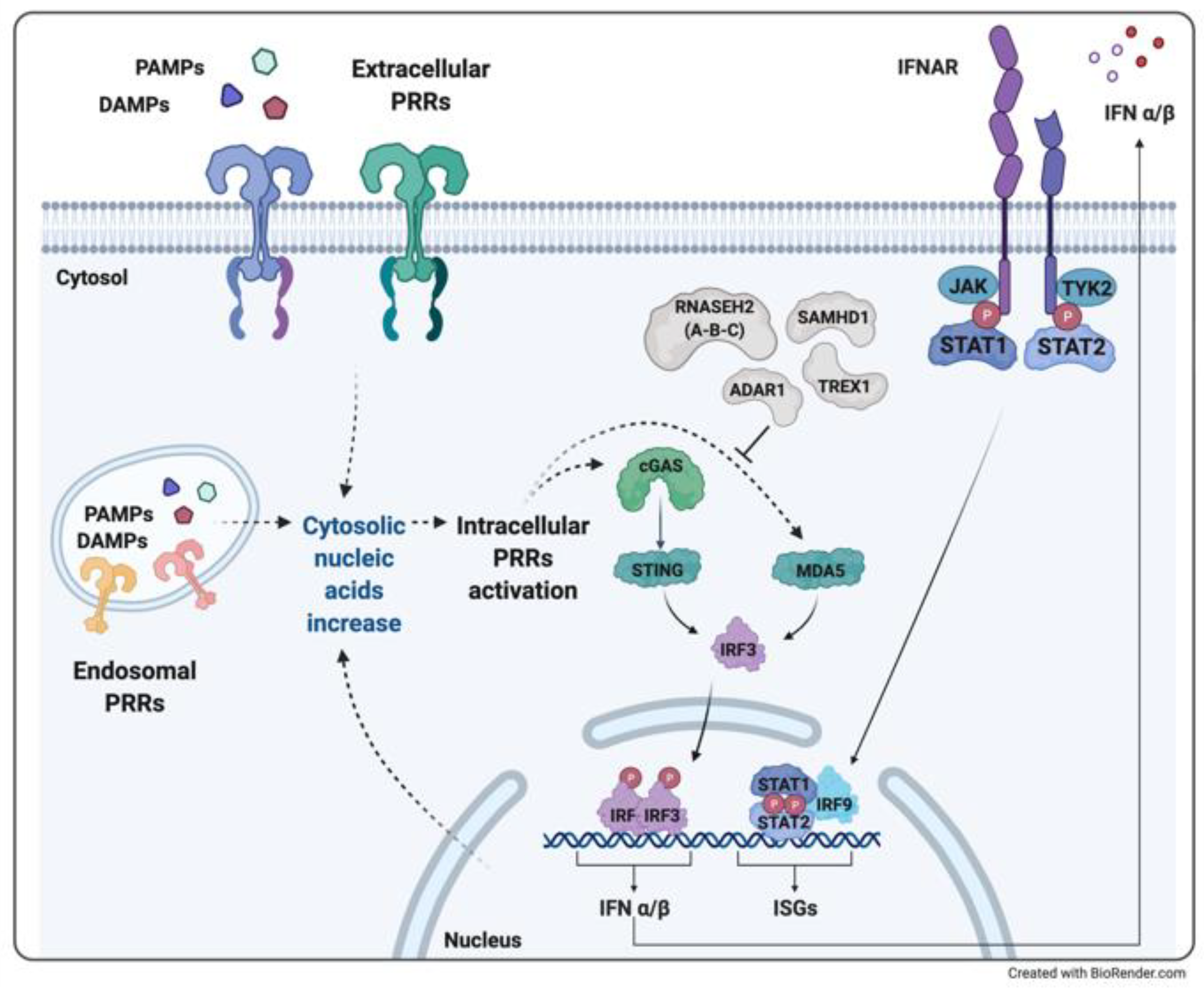 Ijerph 18 05585 g001