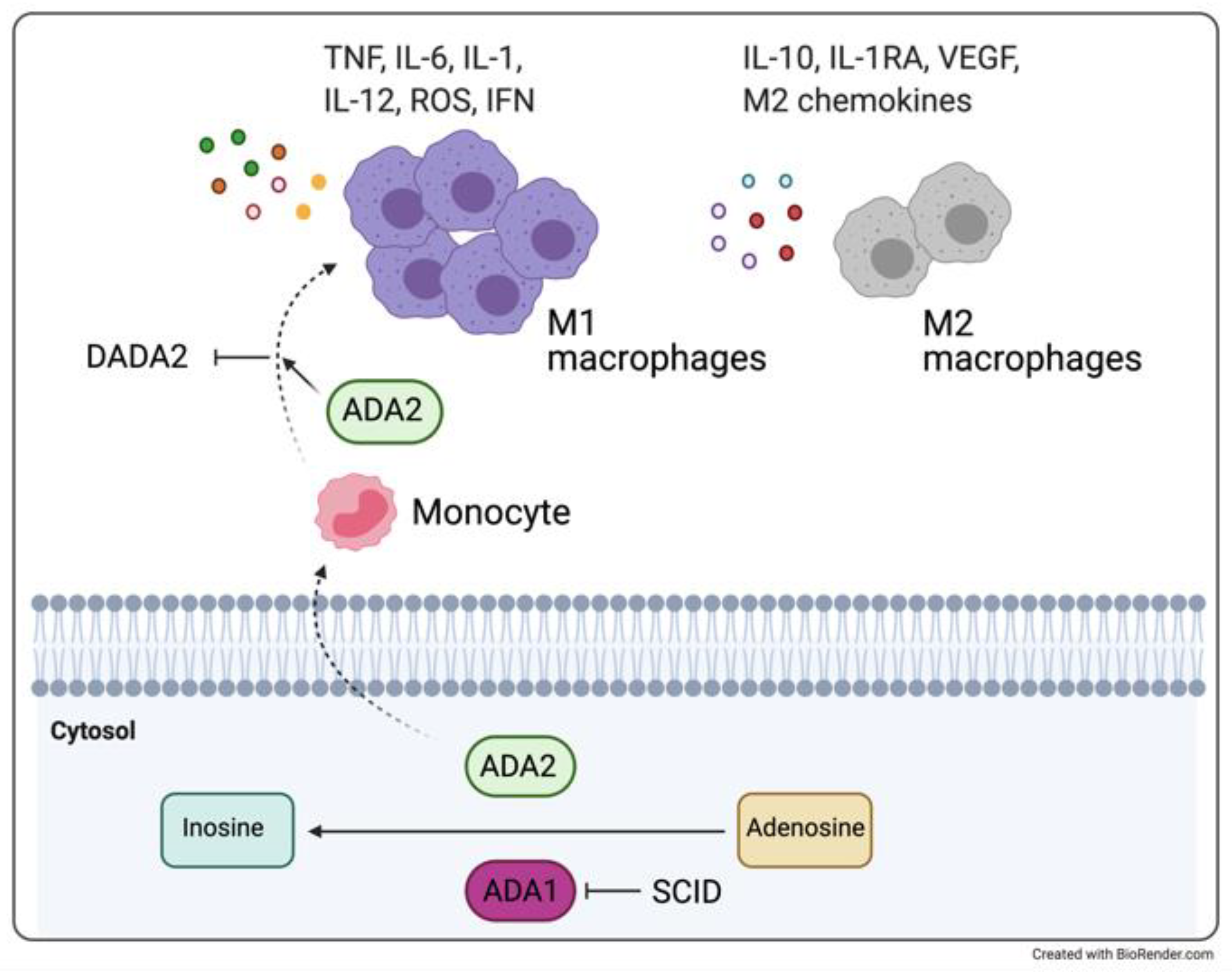 Ijerph 18 05585 g002