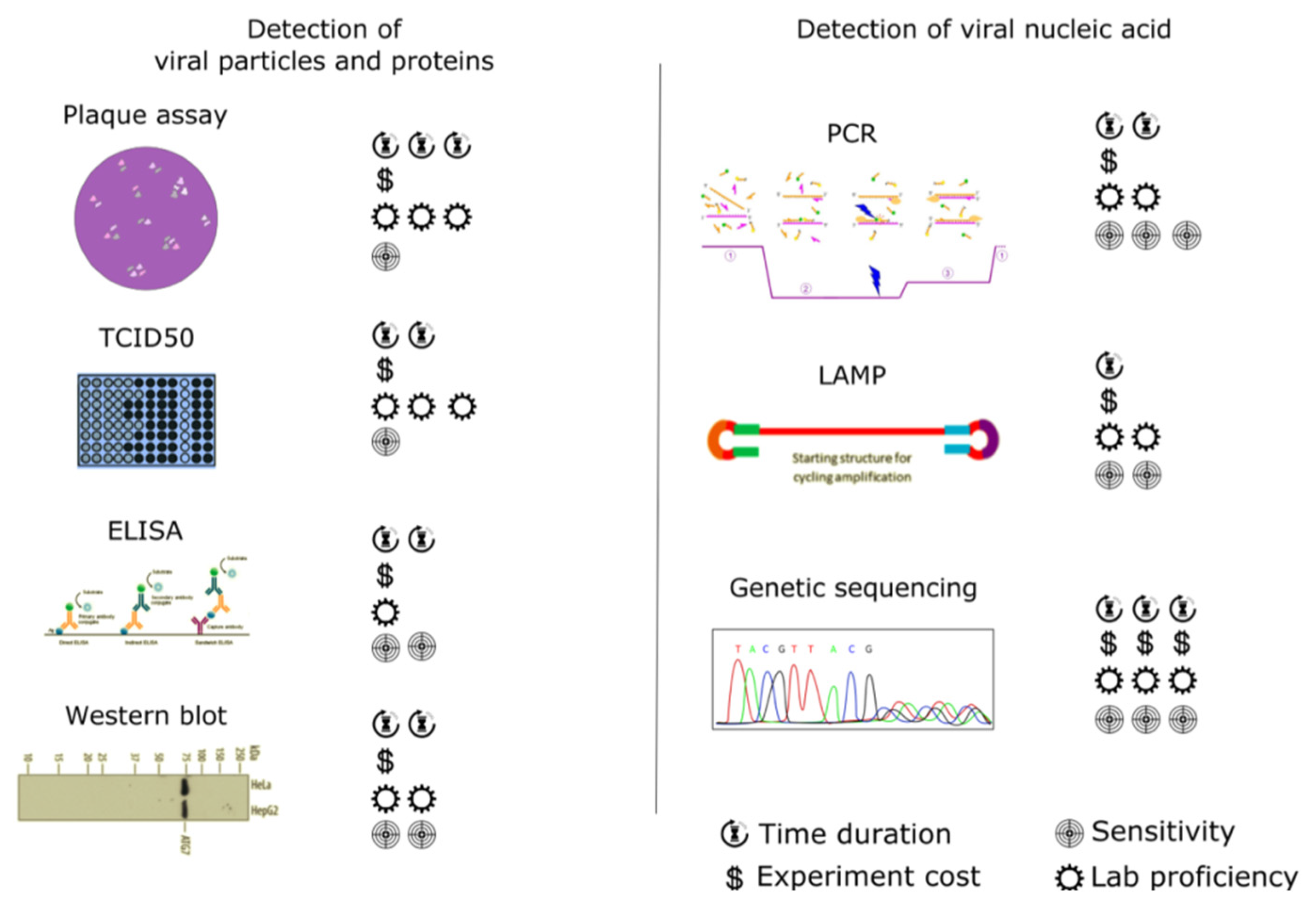 Ijerph 18 05629 g001 Ijerph 18 05629 g001