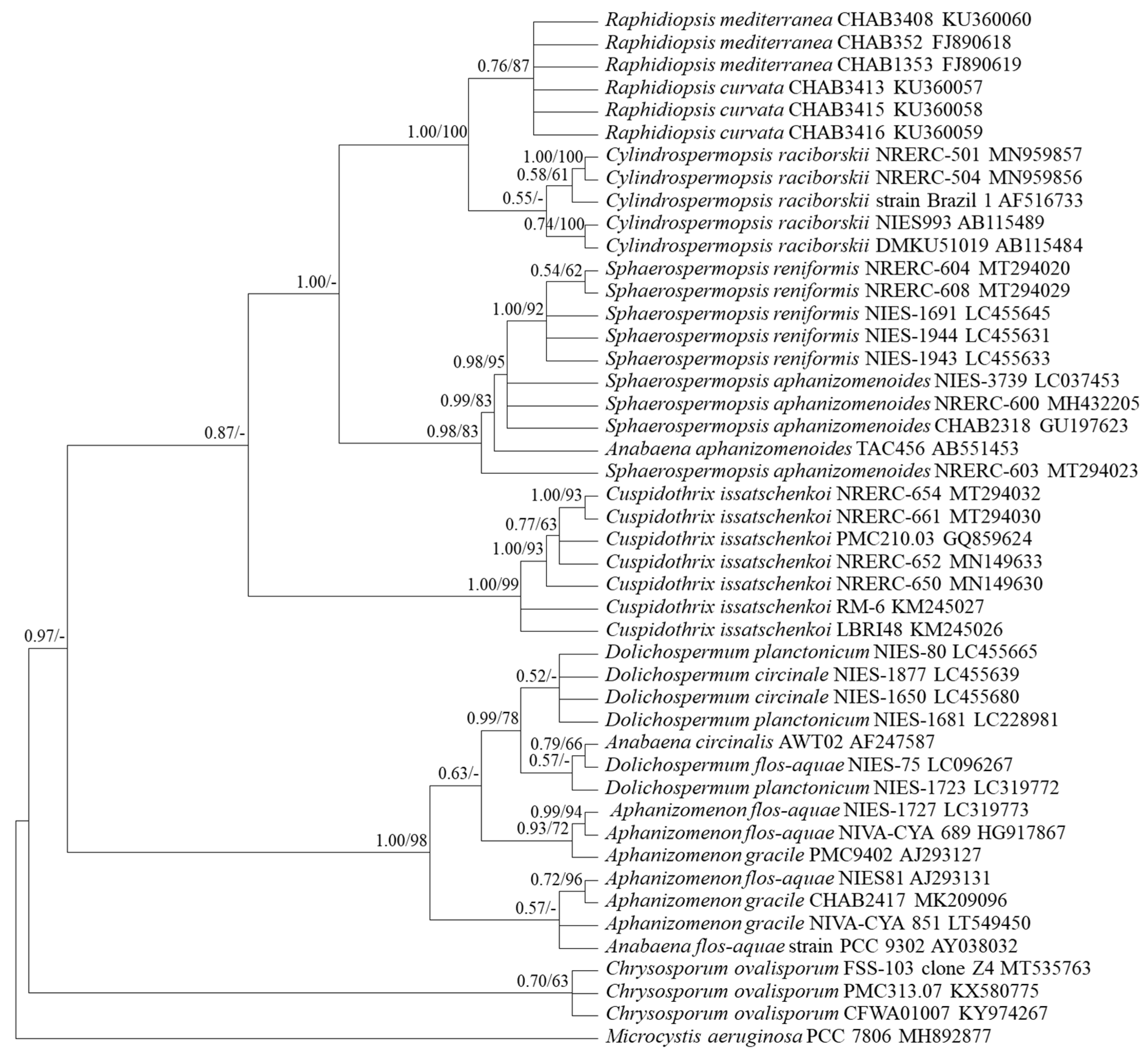 Ijerph 18 05703 g001 Ijerph 18 05703 g001