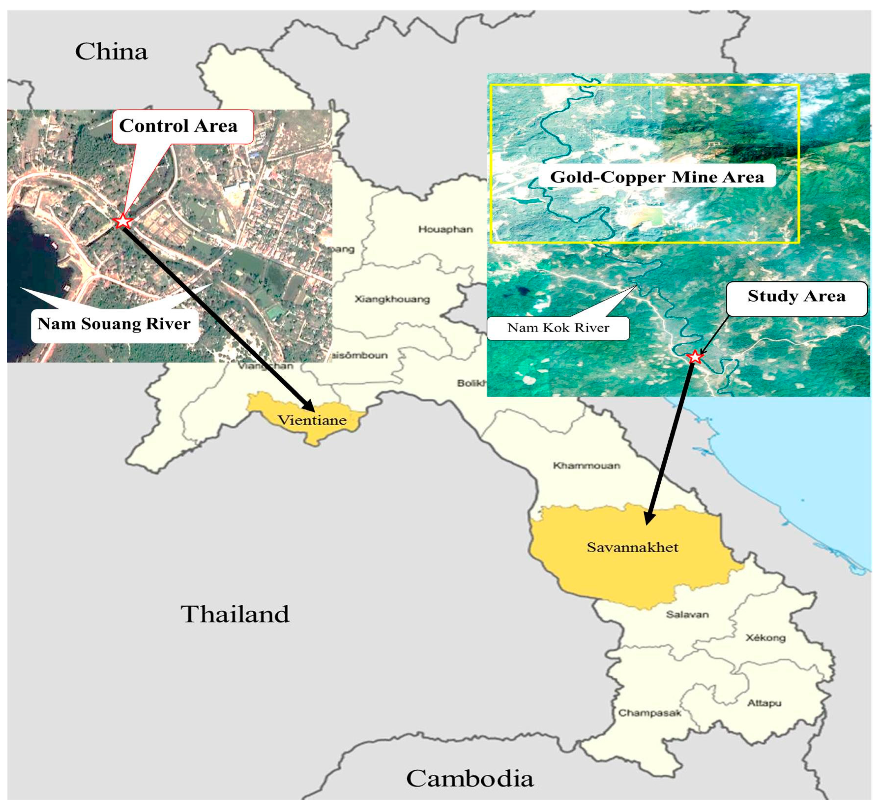 Ijerph 18 05854 g001