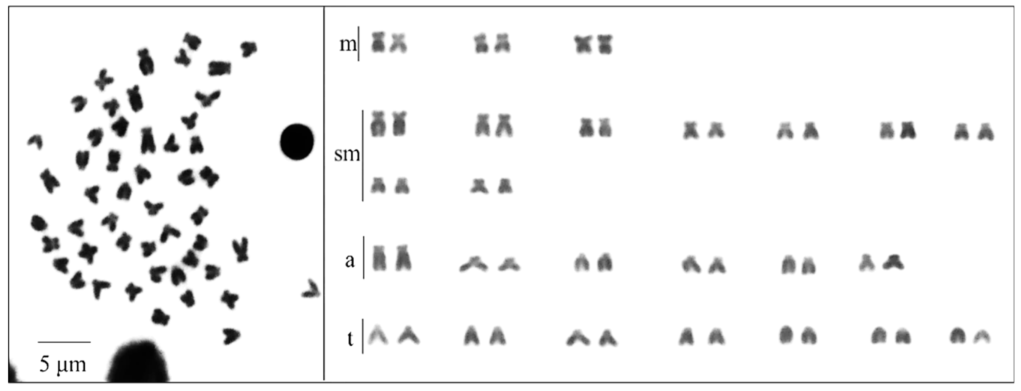 Ijerph 18 05854 g002