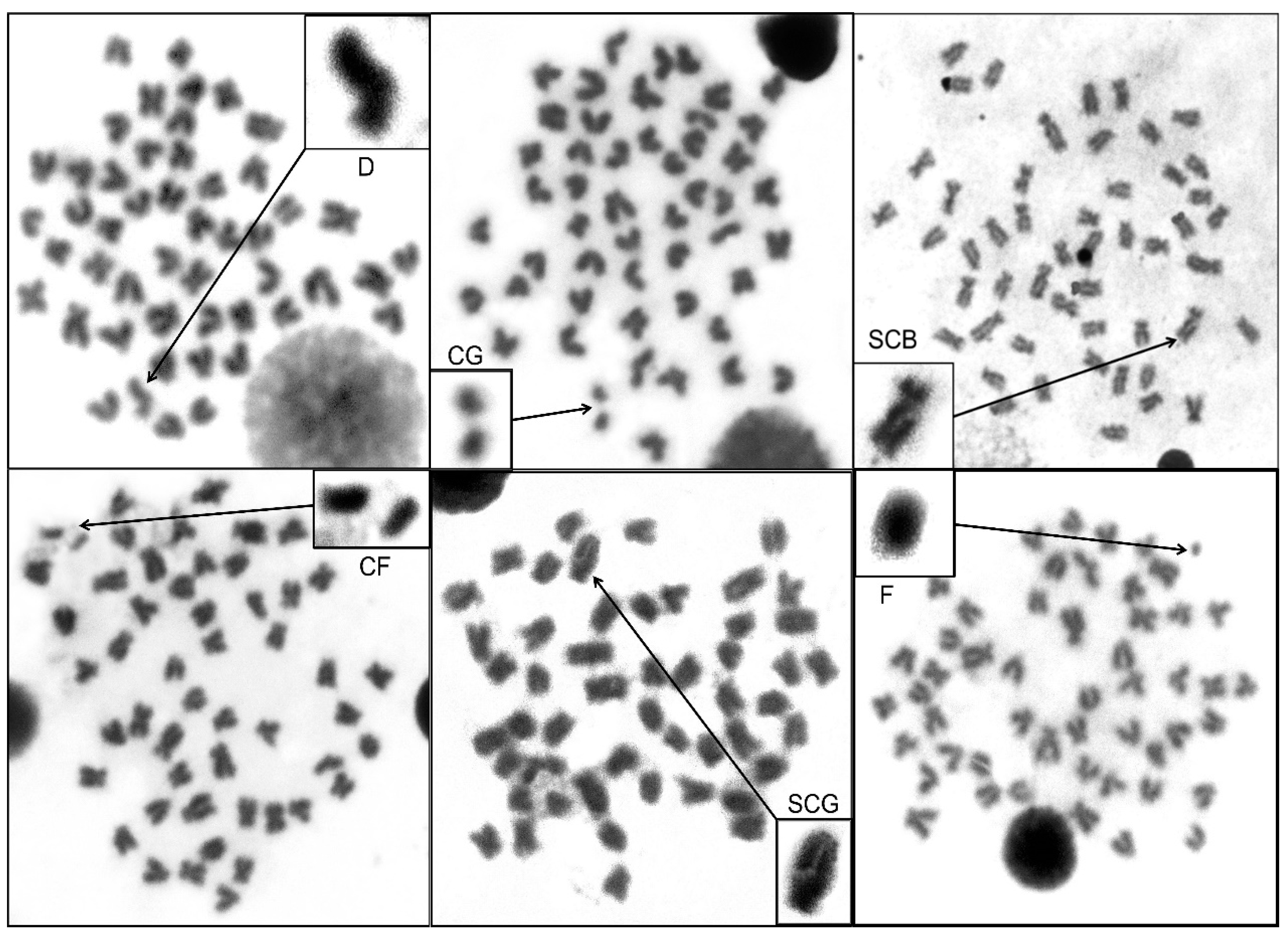 Ijerph 18 05854 g003