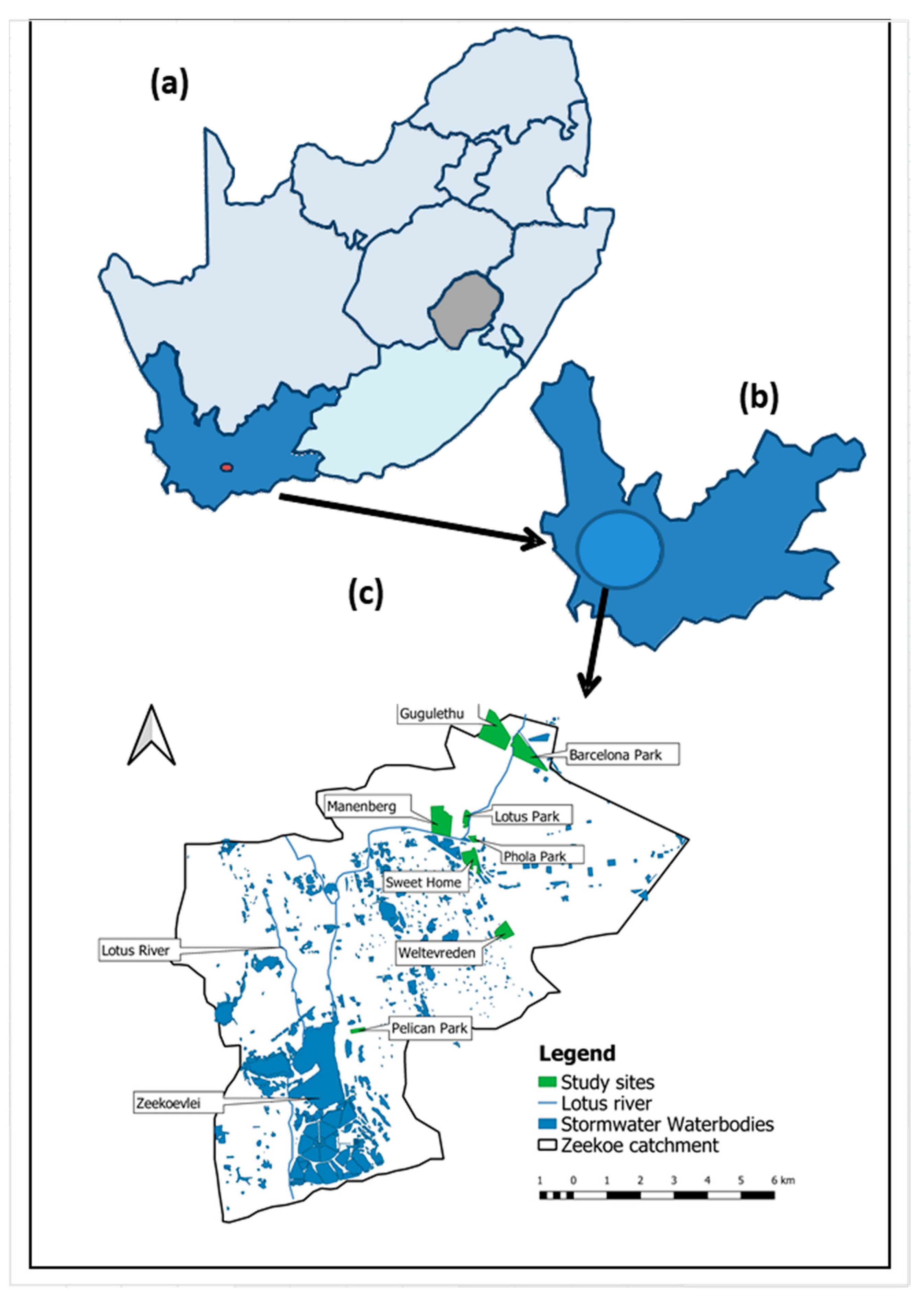Ijerph 18 06043 g001
