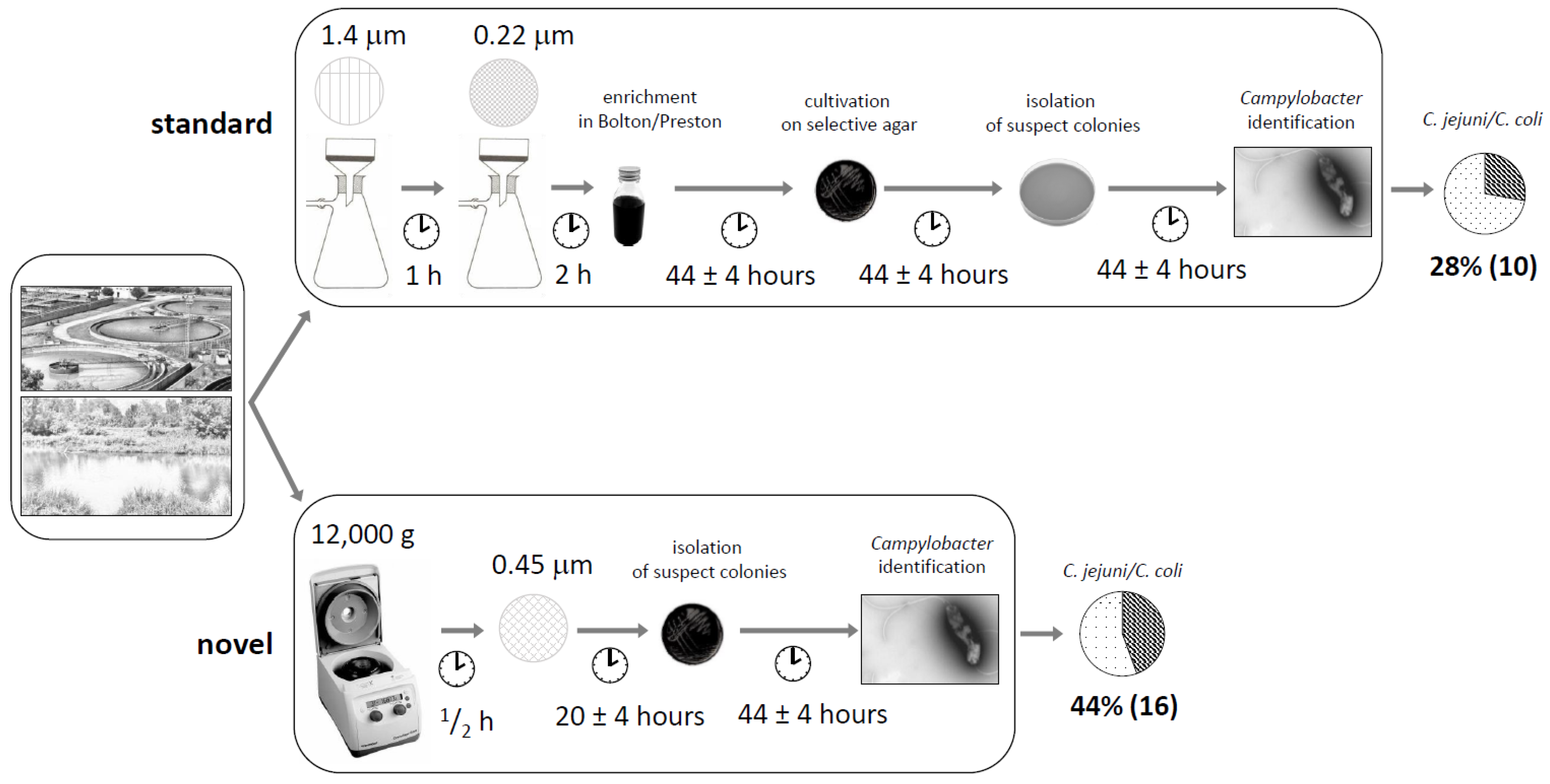 Ijerph 18 06098 g001