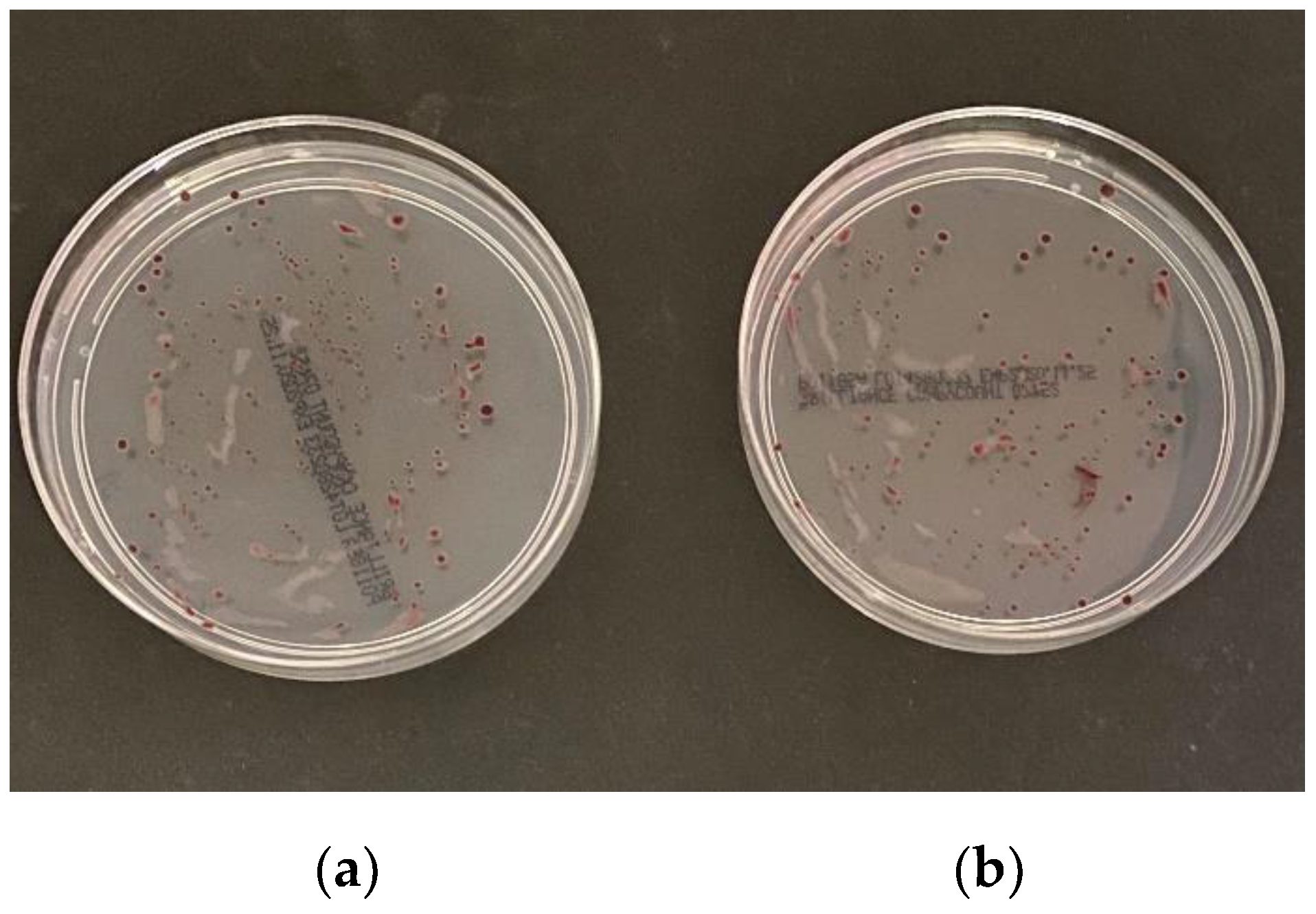 Ijerph 18 06098 g004