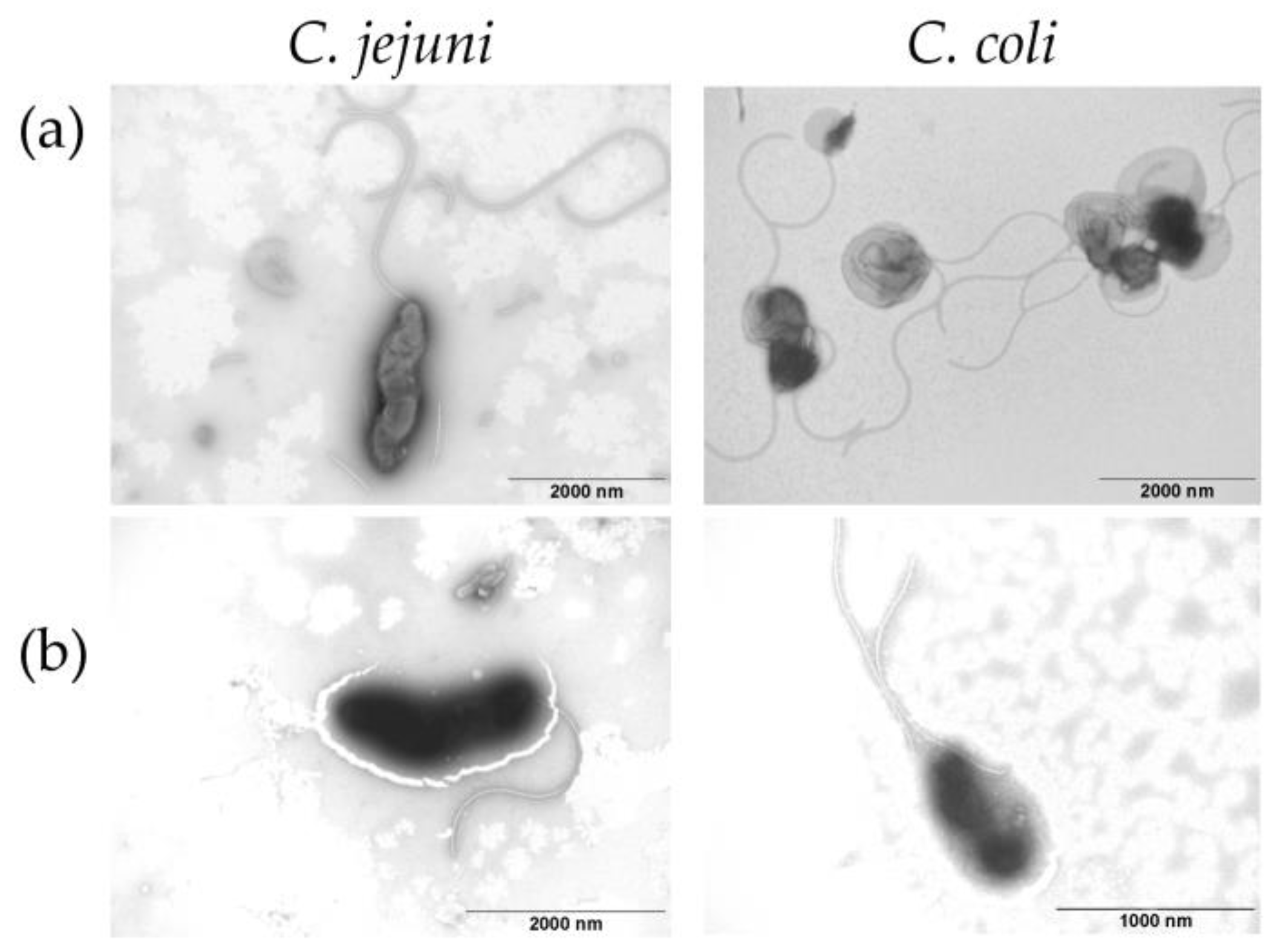 Ijerph 18 06098 g005