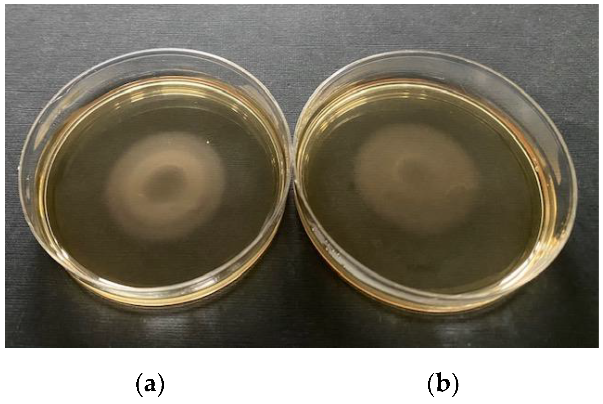 Ijerph 18 06098 g006